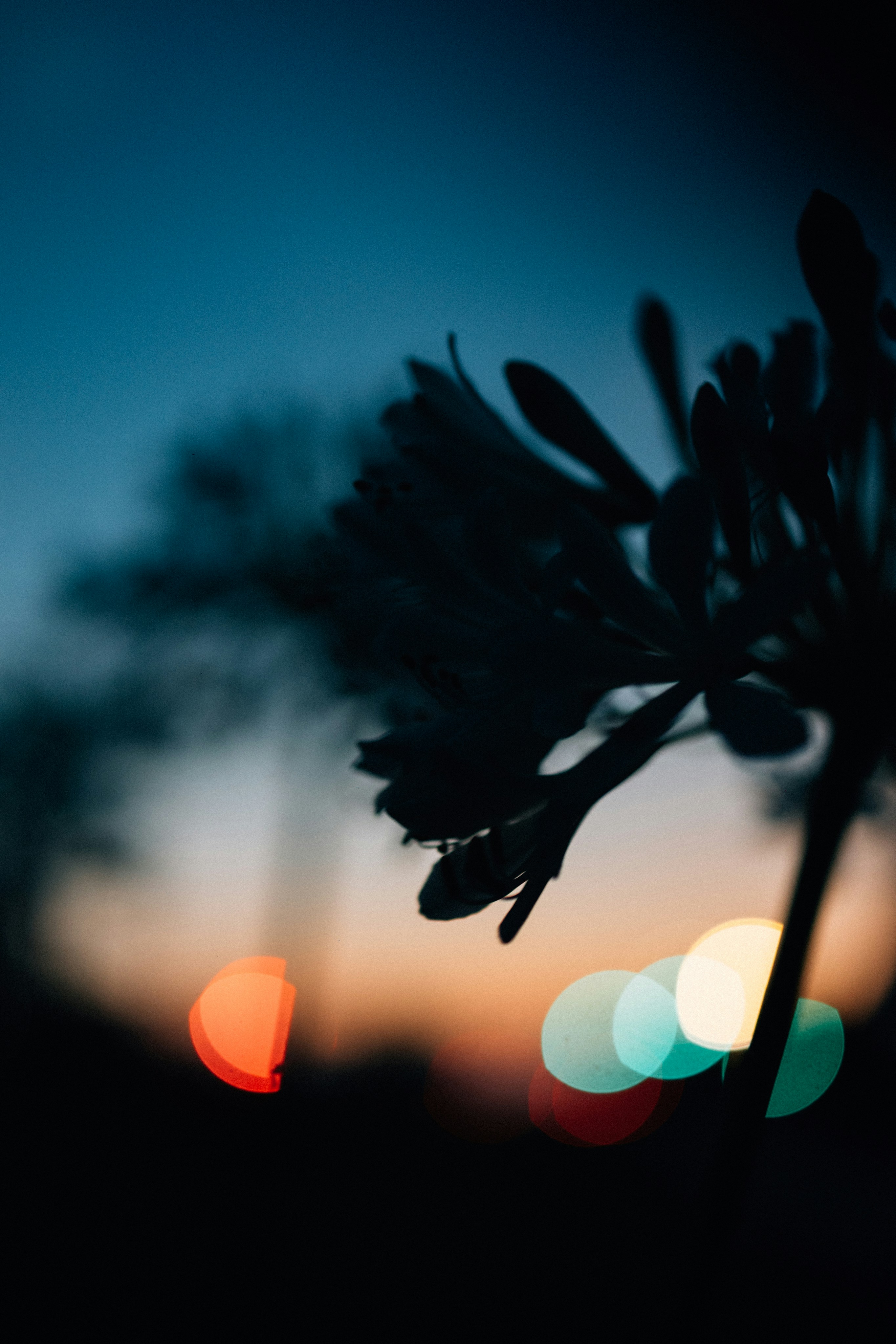 Photo by tsuyoshikozu