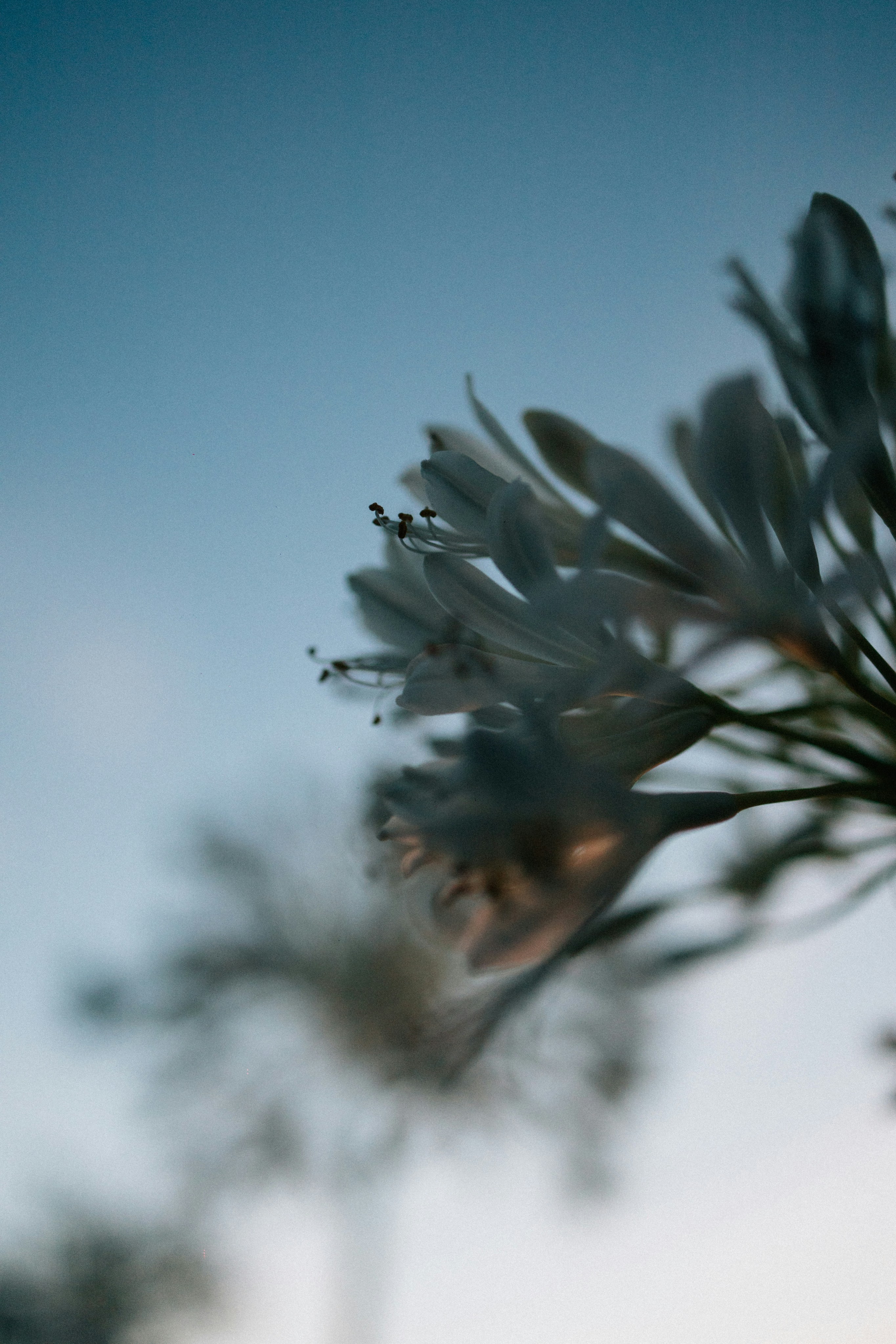 Photo by tsuyoshikozu