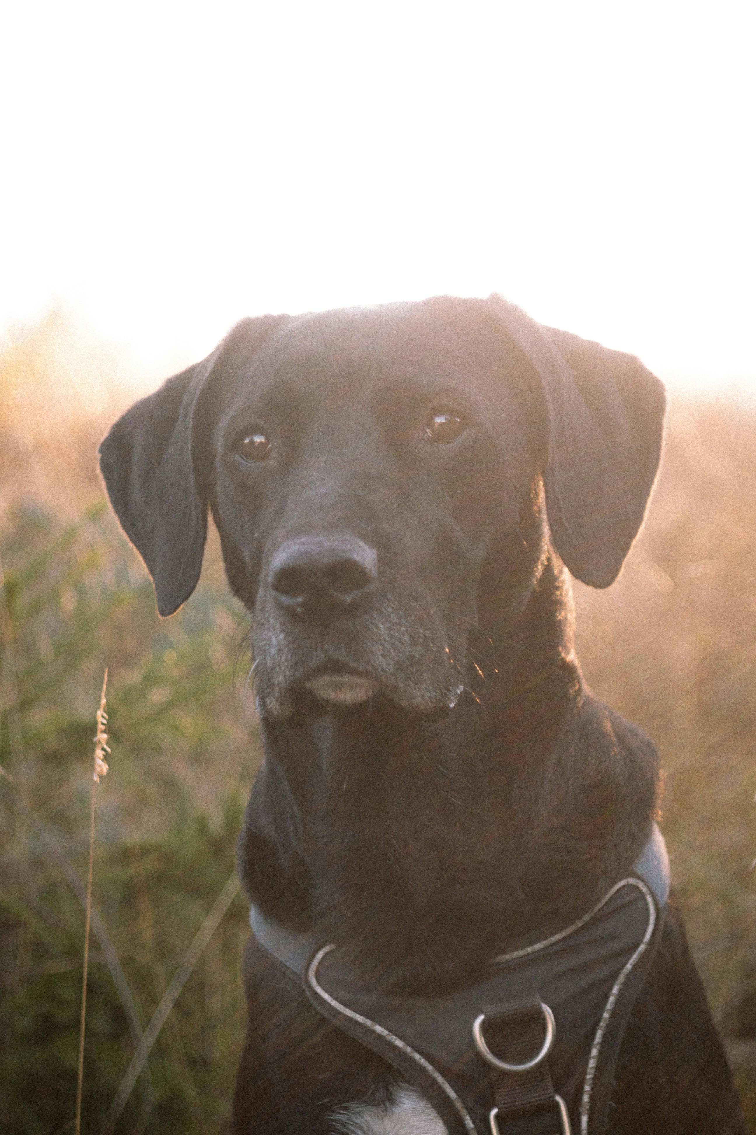 Photo by raw_negative_space