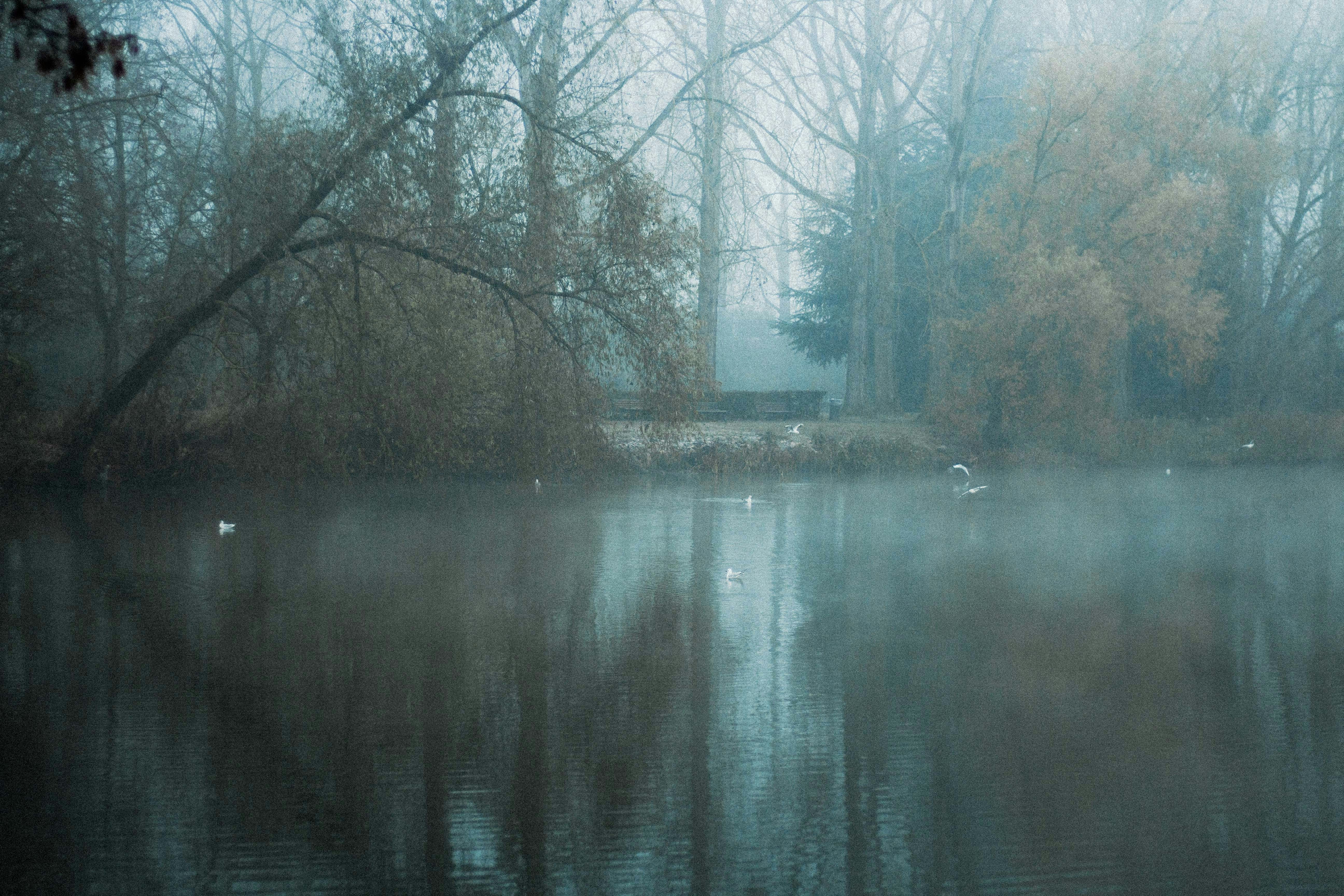 Photo by valentinblary