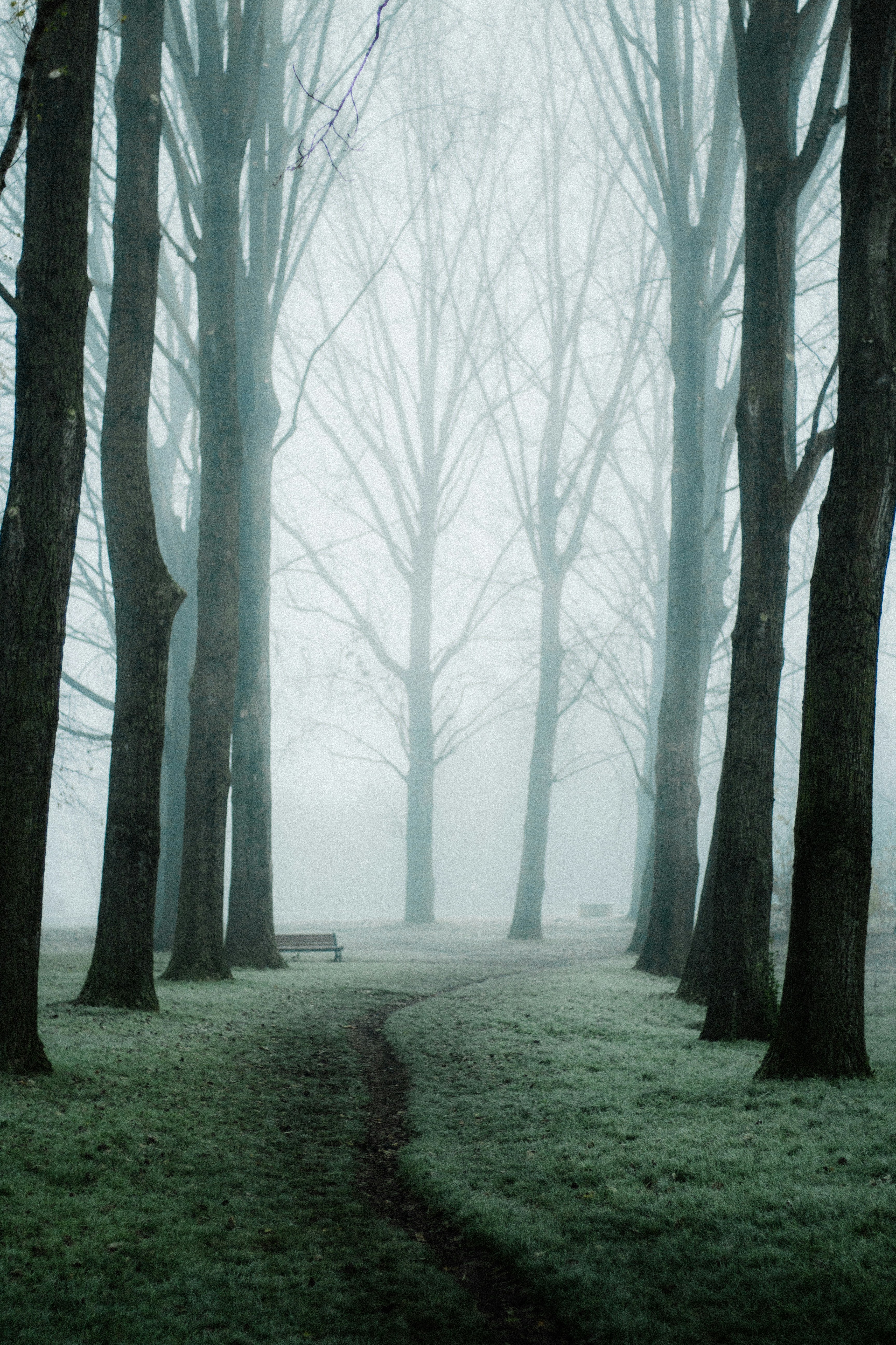 Photo by valentinblary