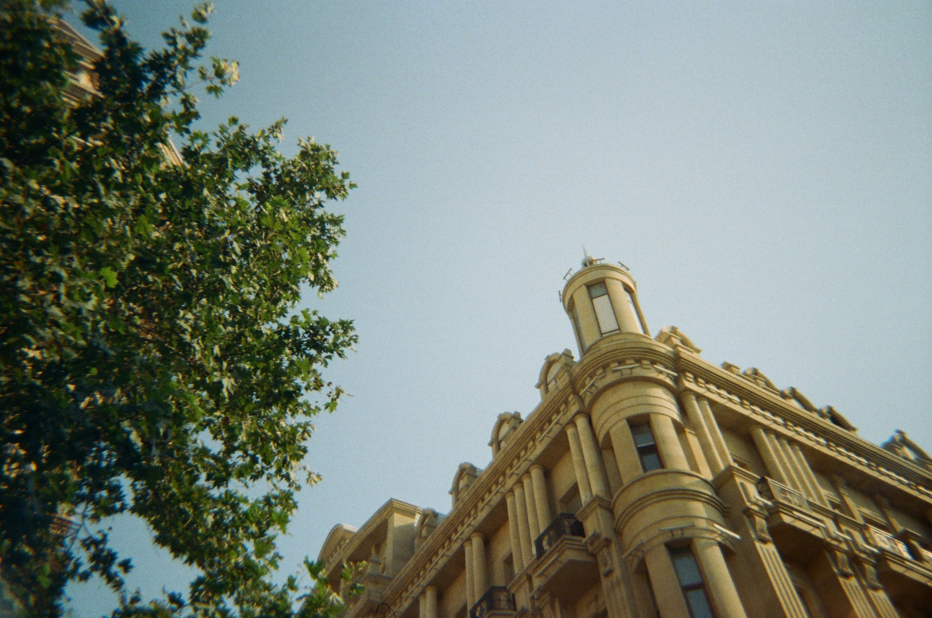 Photo by thesilvafocus