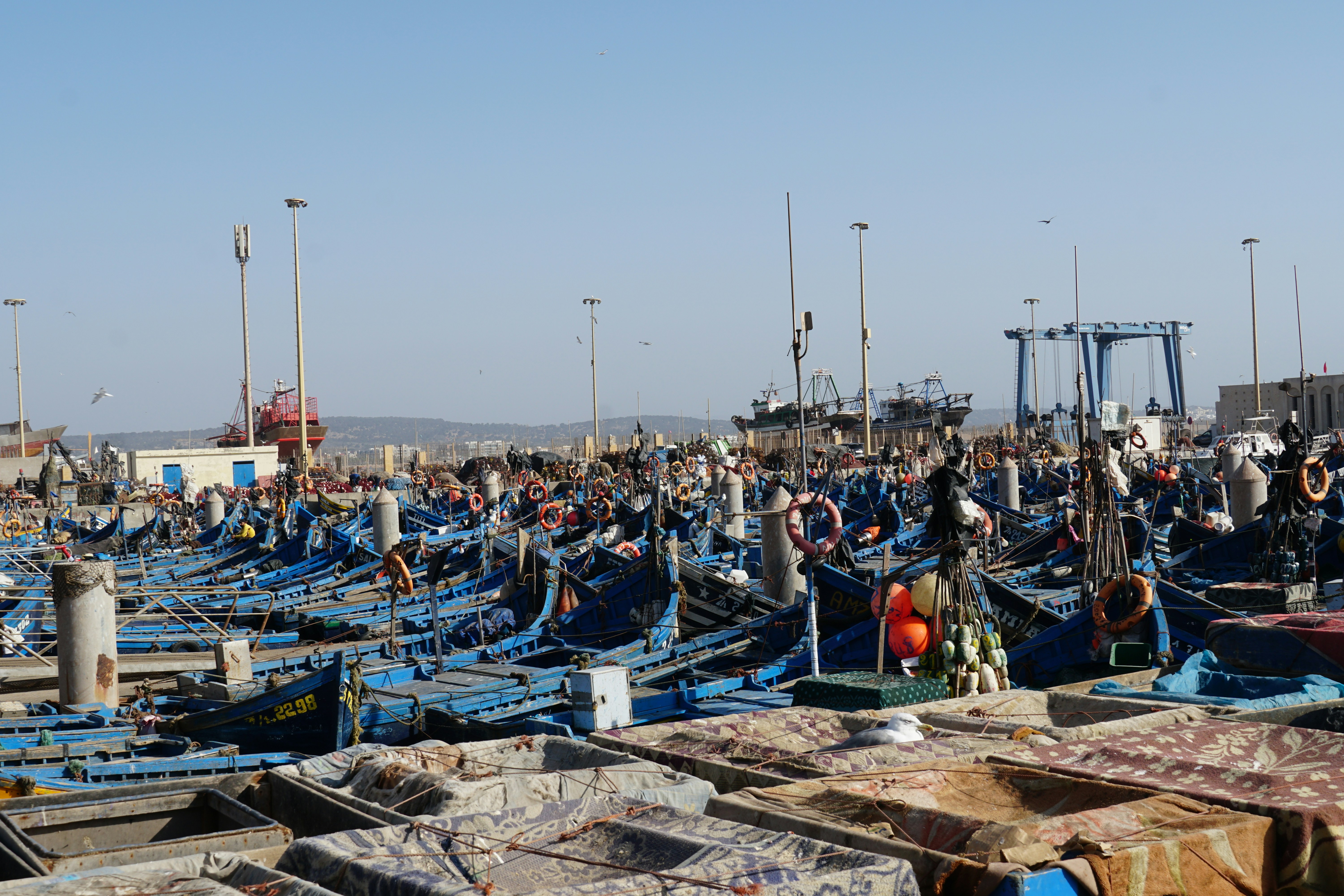 Essaouira harbor blue boats