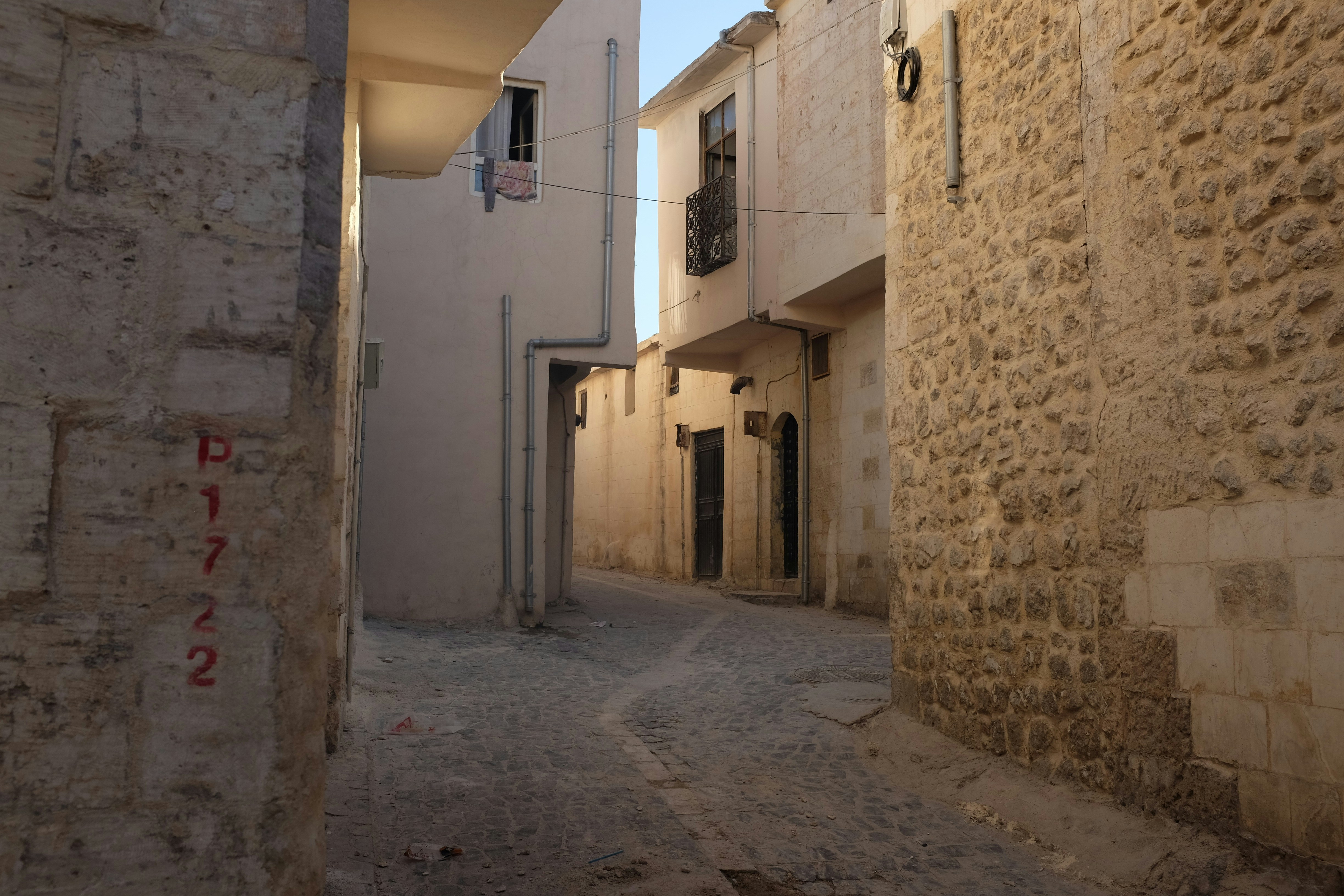 Photo by ignatkushanrev