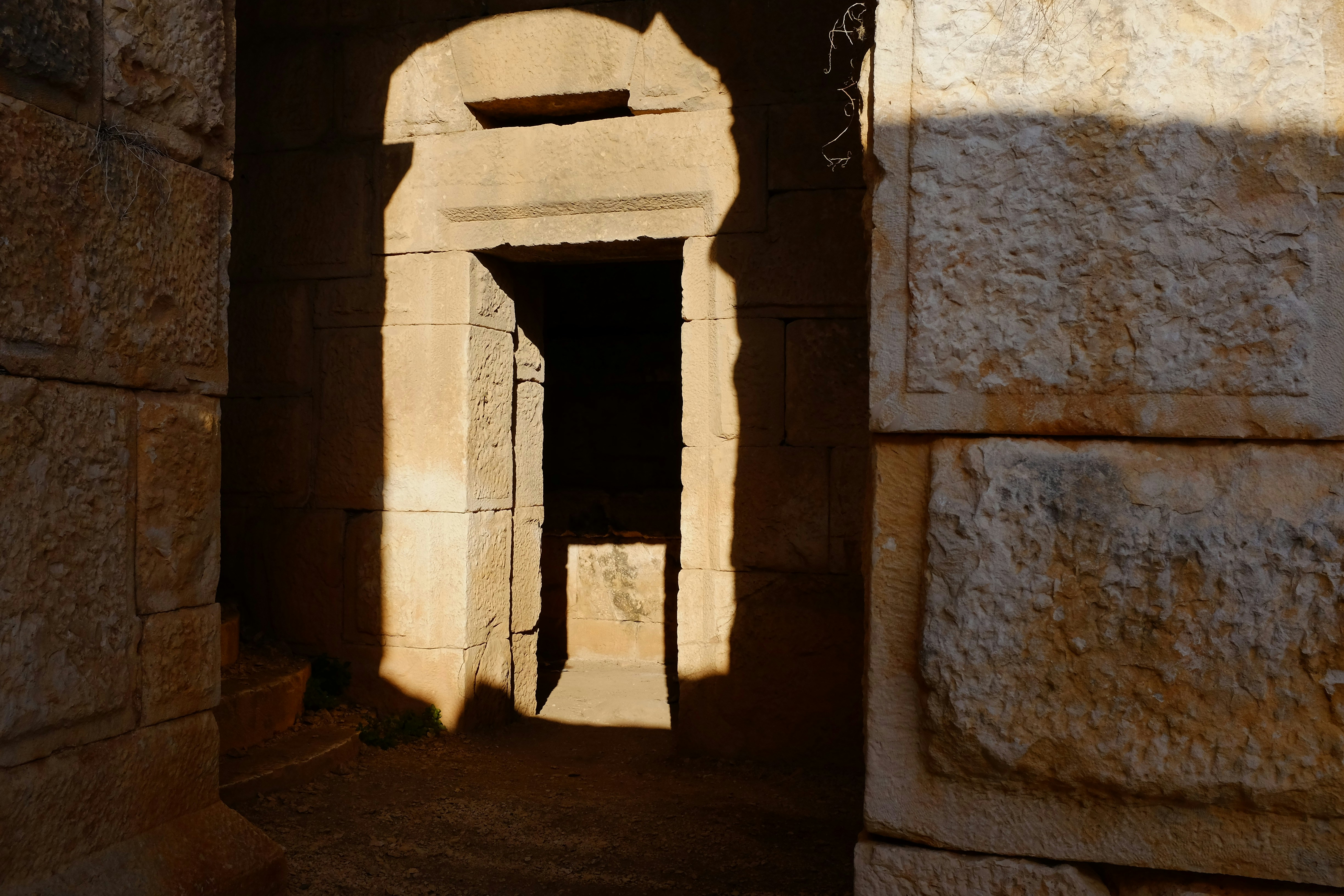 Photo by ignatkushanrev