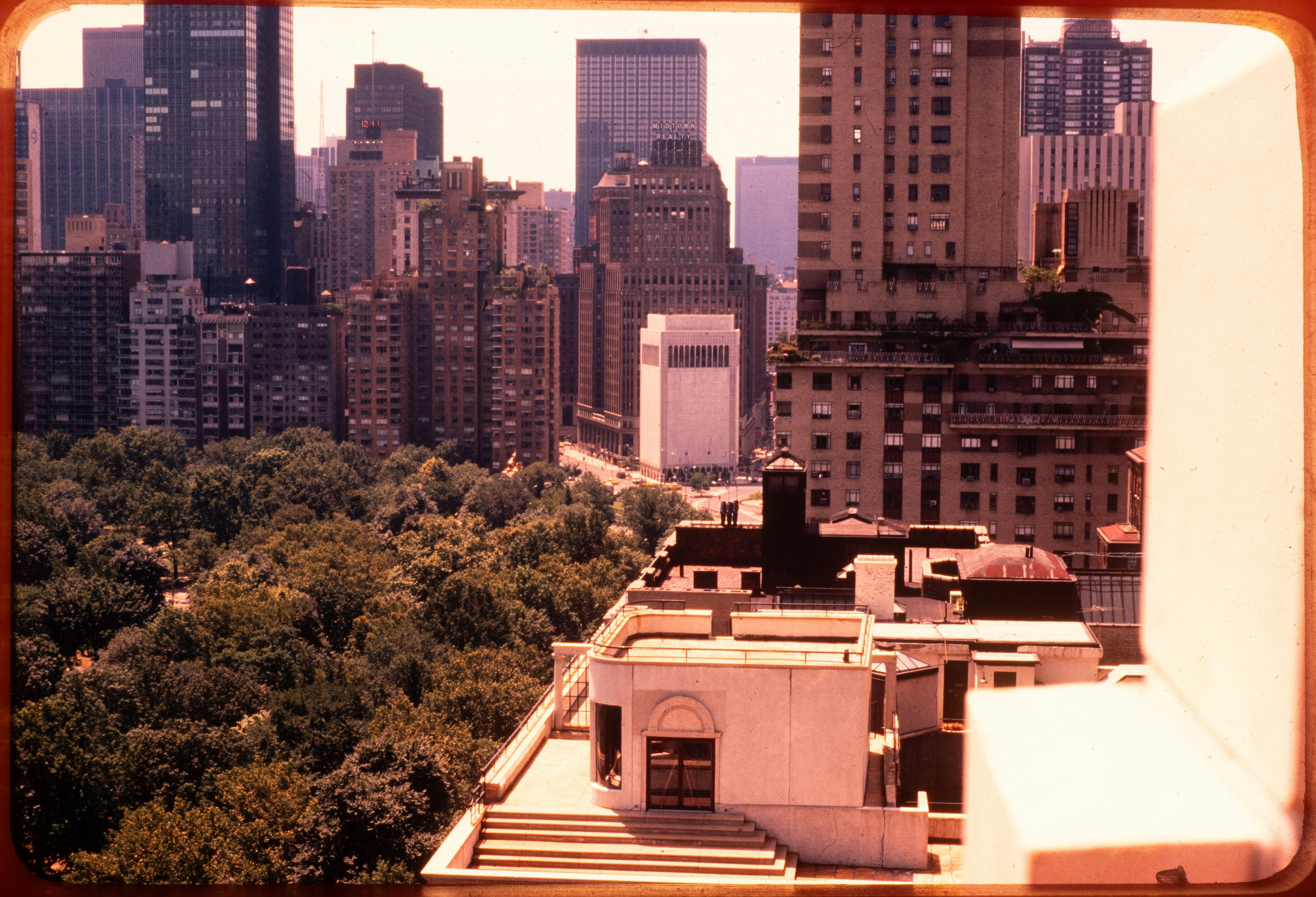 Photo by ignatkushanrev