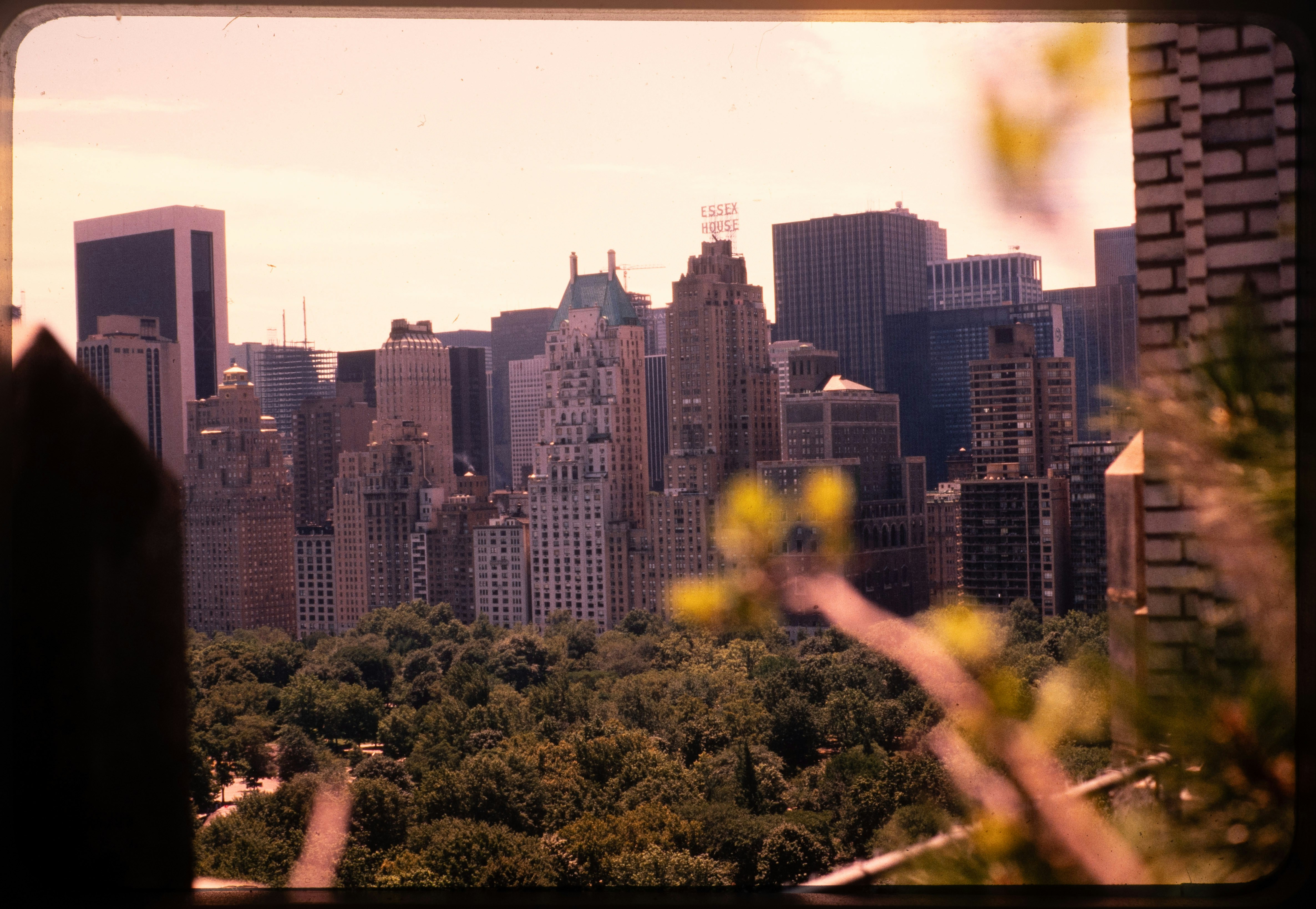 Photo by ignatkushanrev