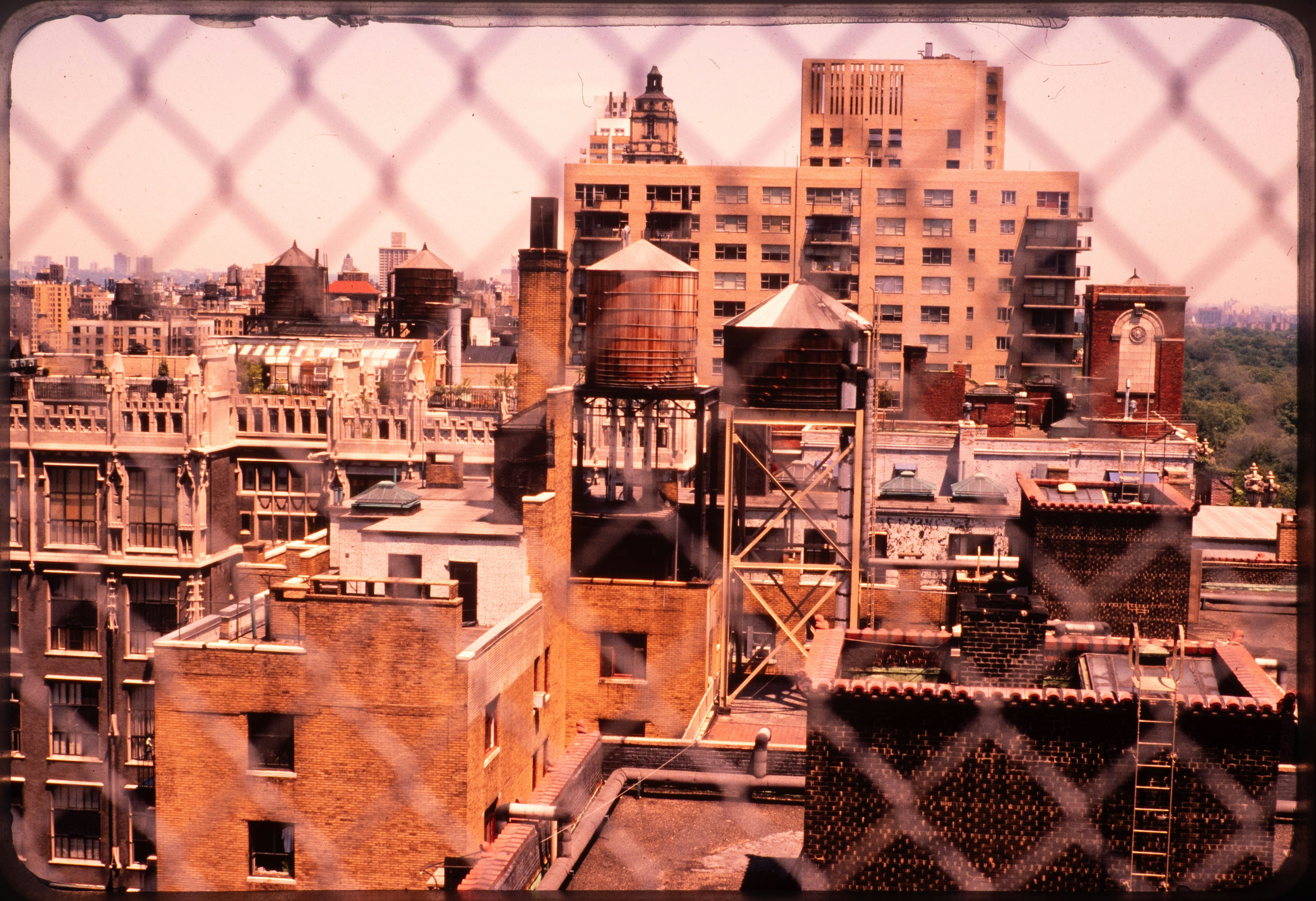 Photo by ignatkushanrev