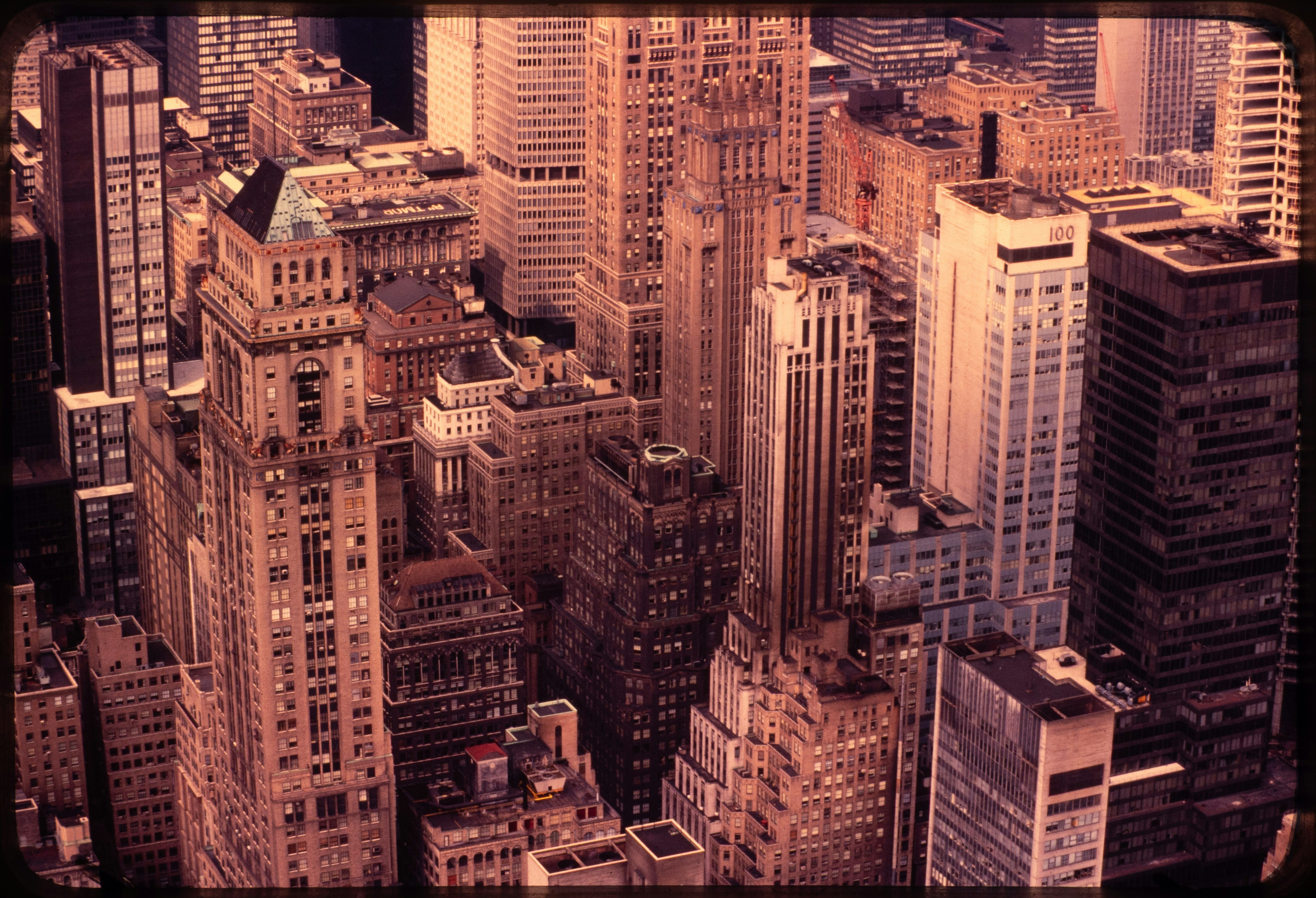 Photo by ignatkushanrev