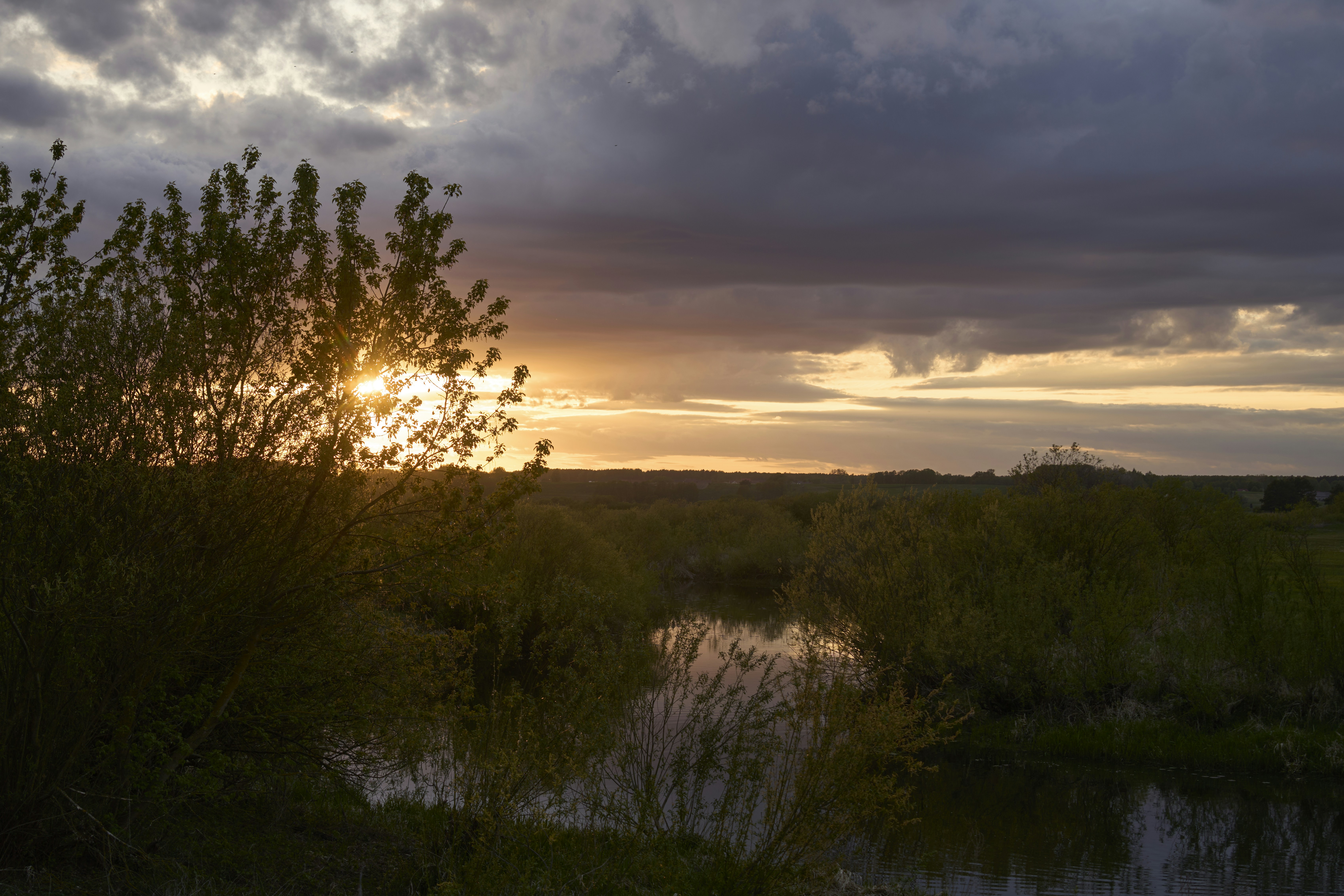 Photo by wolfgang_hasselmann