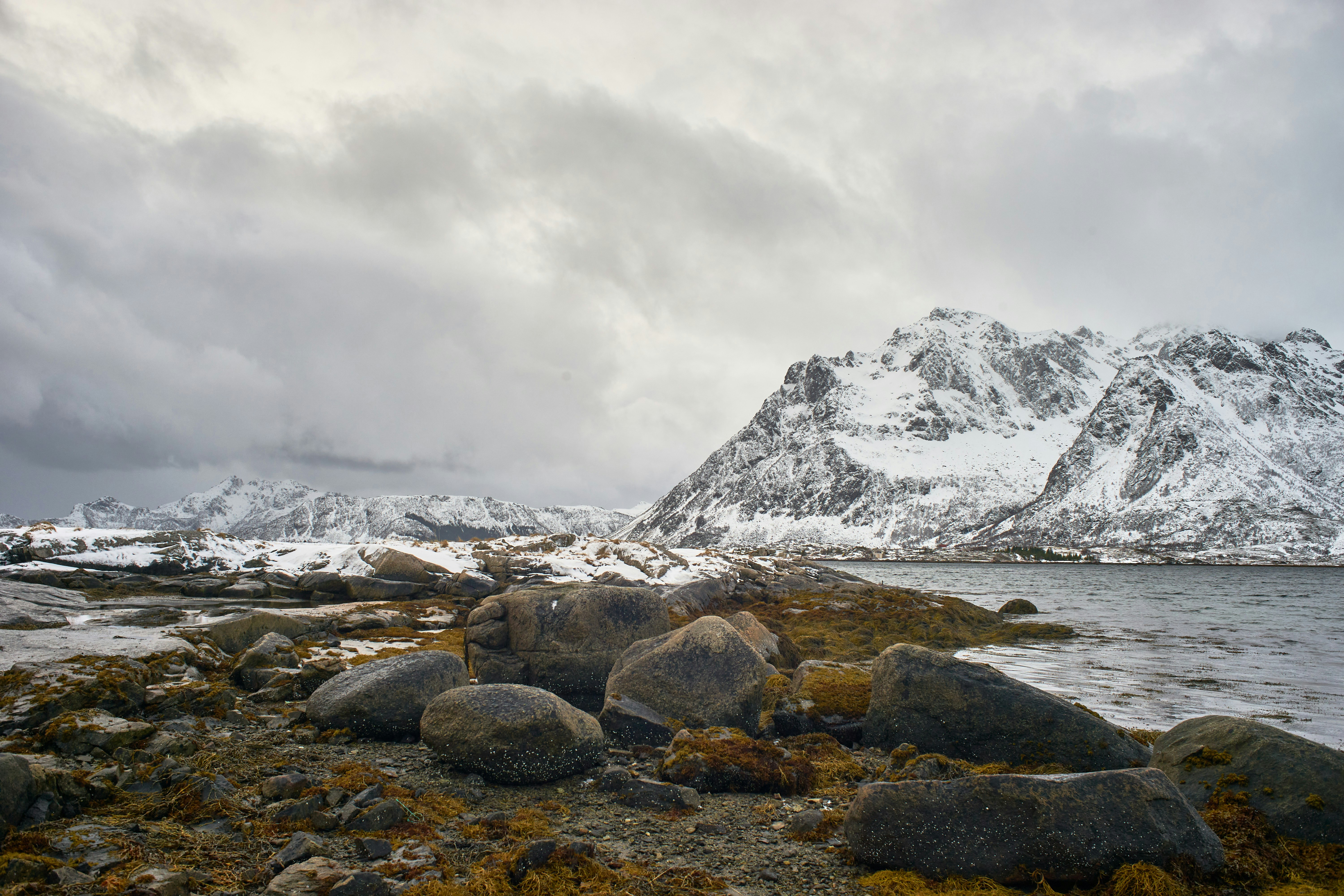 Photo by wolfgang_hasselmann