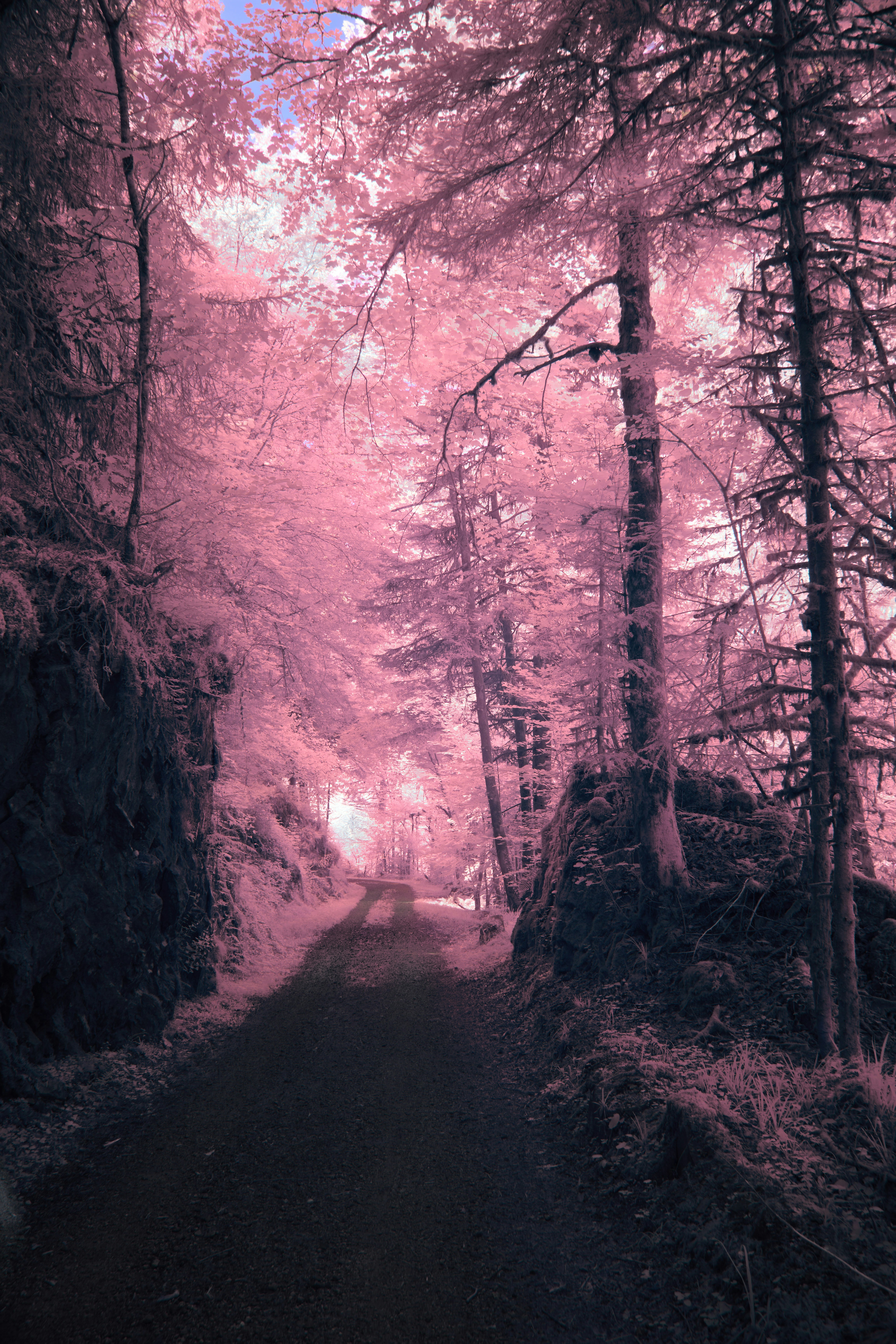 Photo by wolfgang_hasselmann