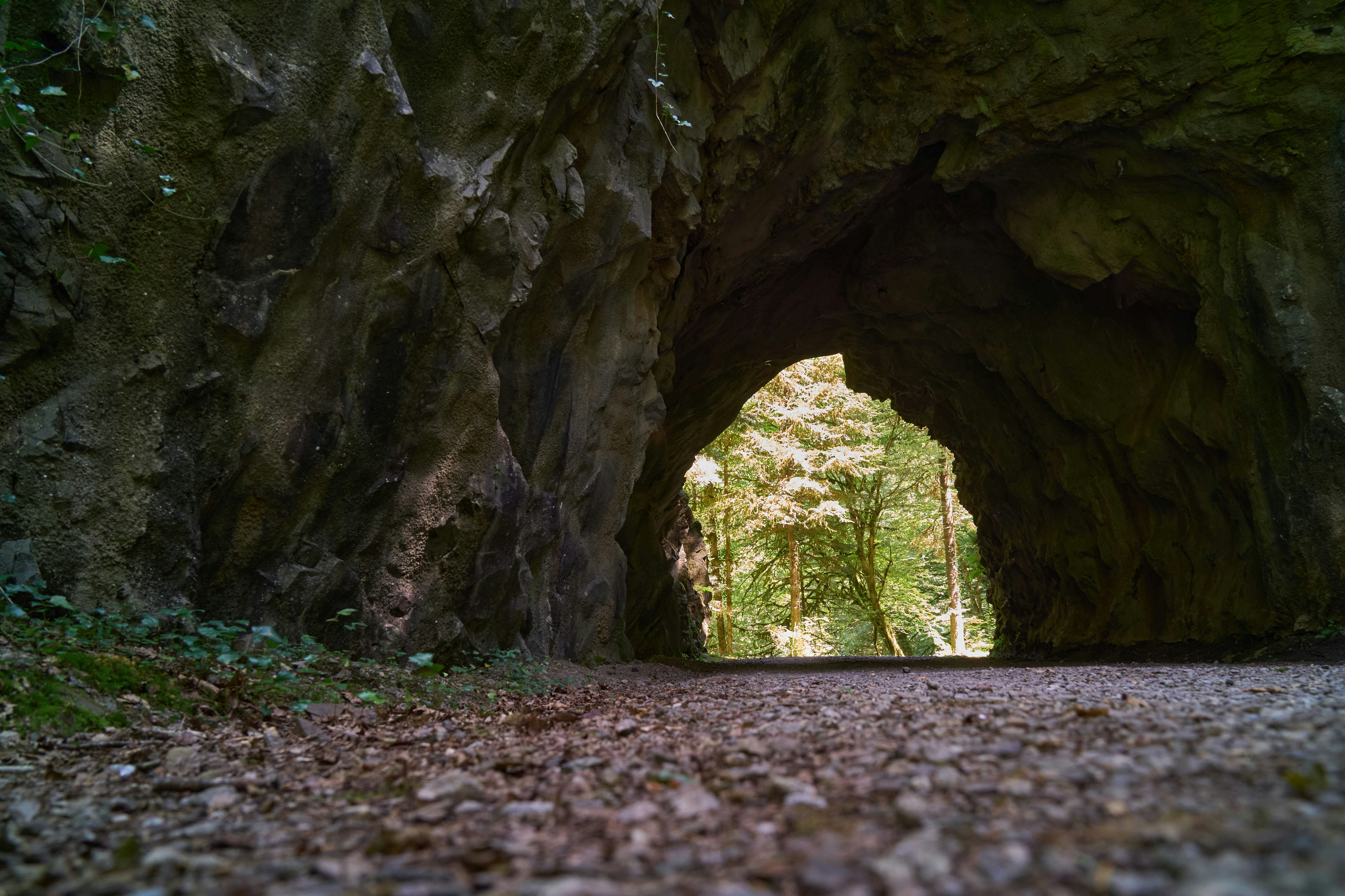 Photo by wolfgang_hasselmann