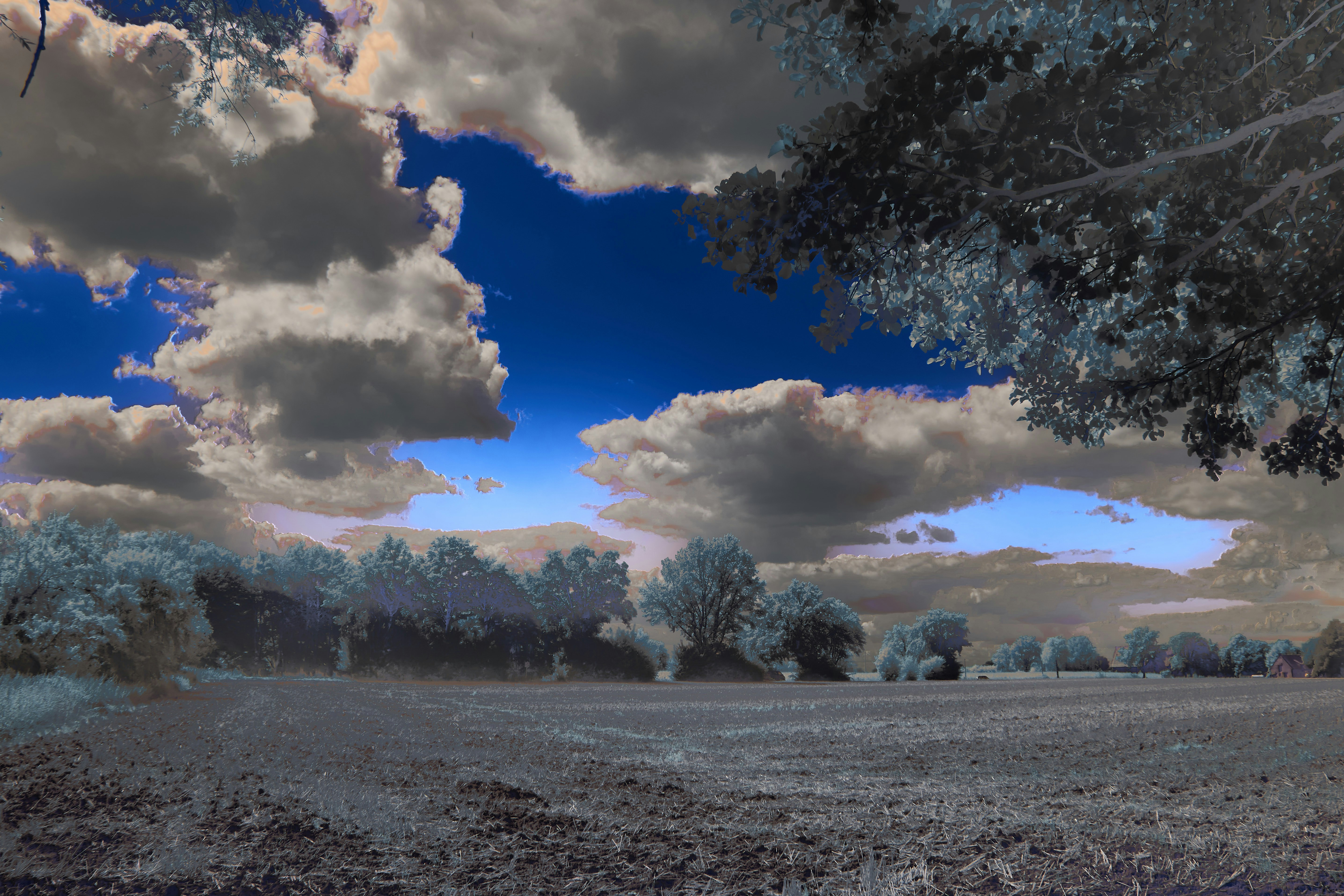 Photo by wolfgang_hasselmann