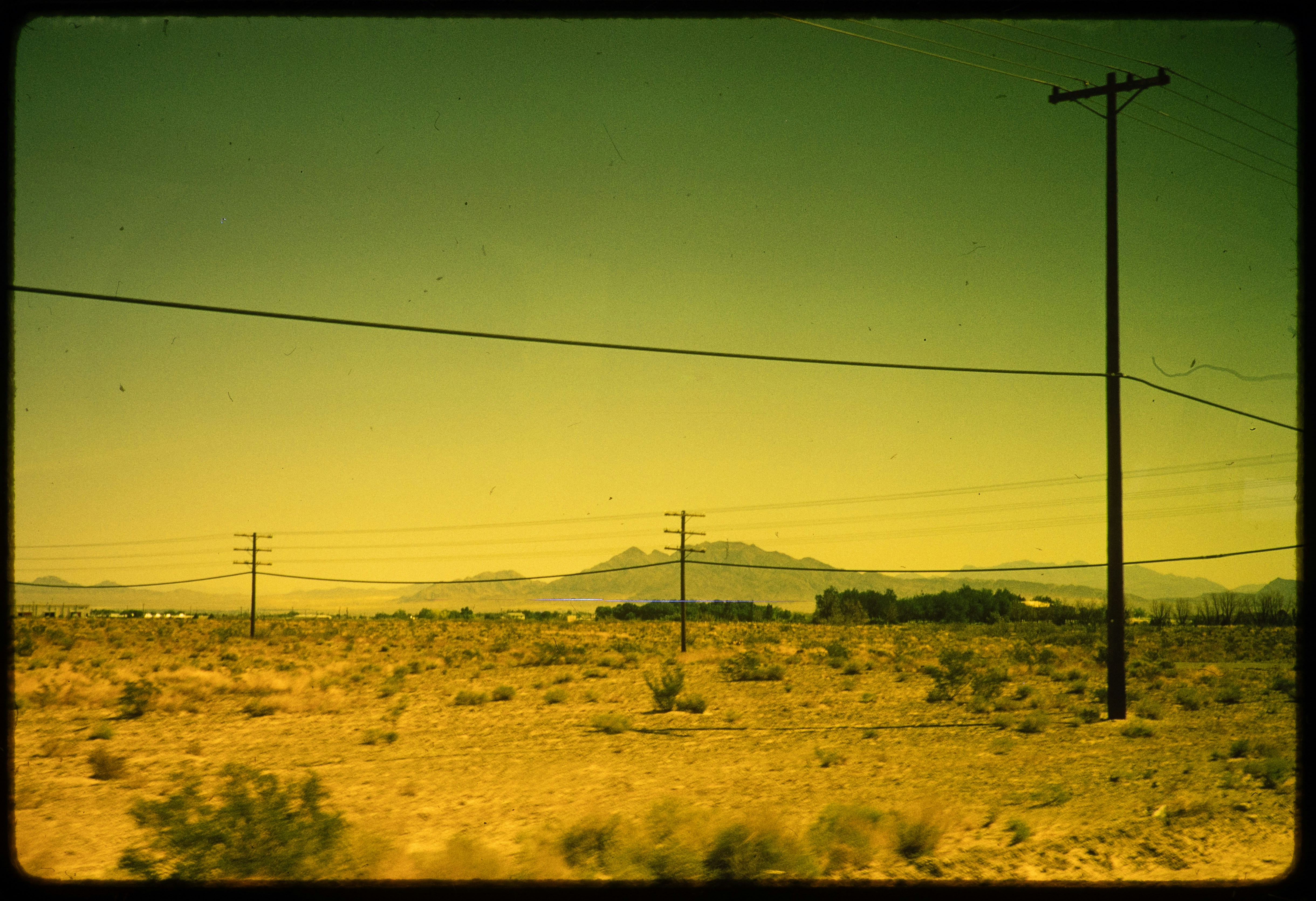 Photo by ignatkushanrev