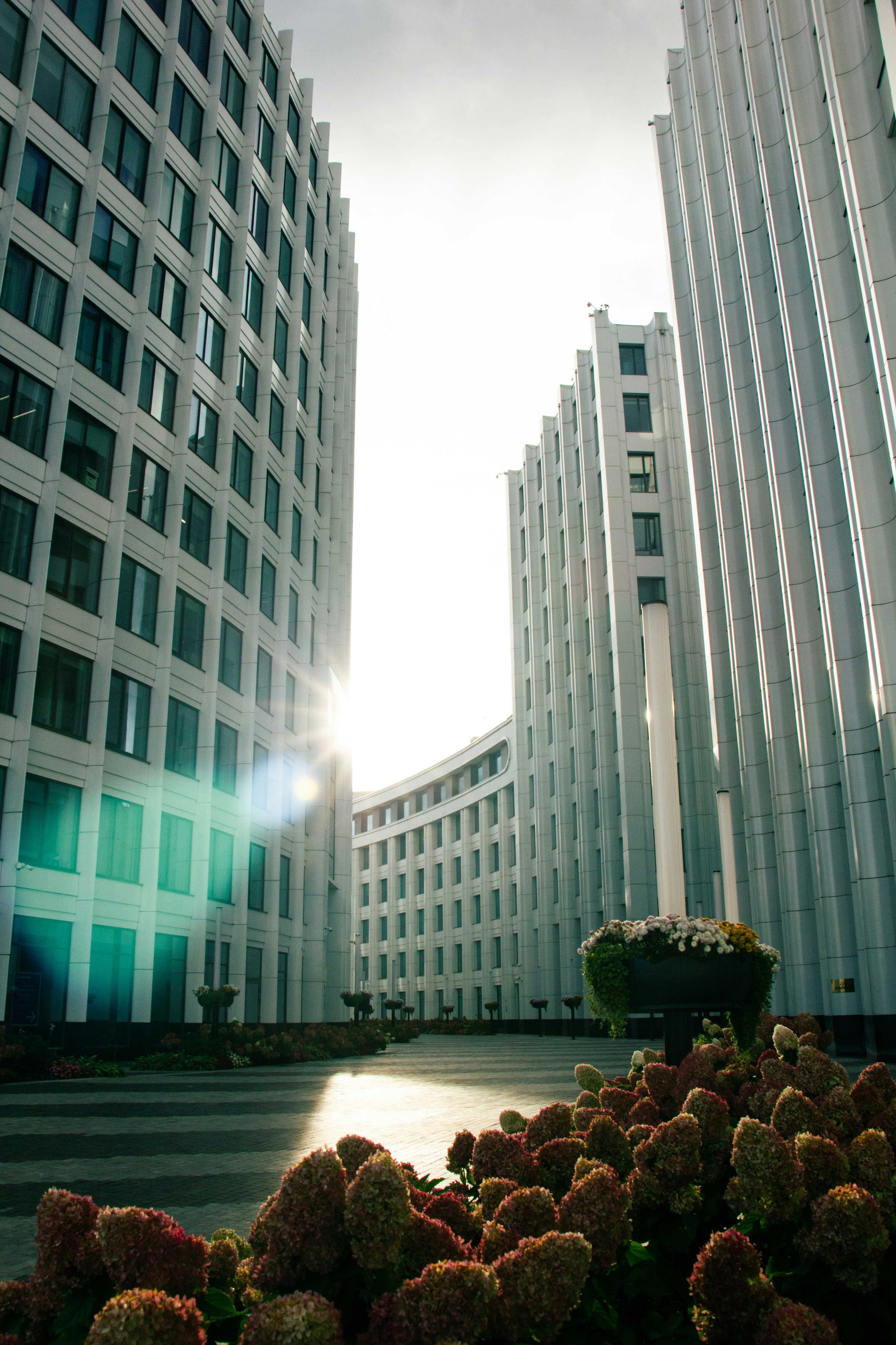 Modern office buildings with sun flare and flowers