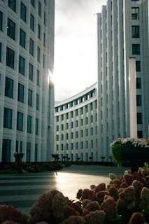 Modern buildings with curved facade and flowers