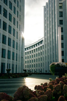 Modern buildings with curved facade and flowers