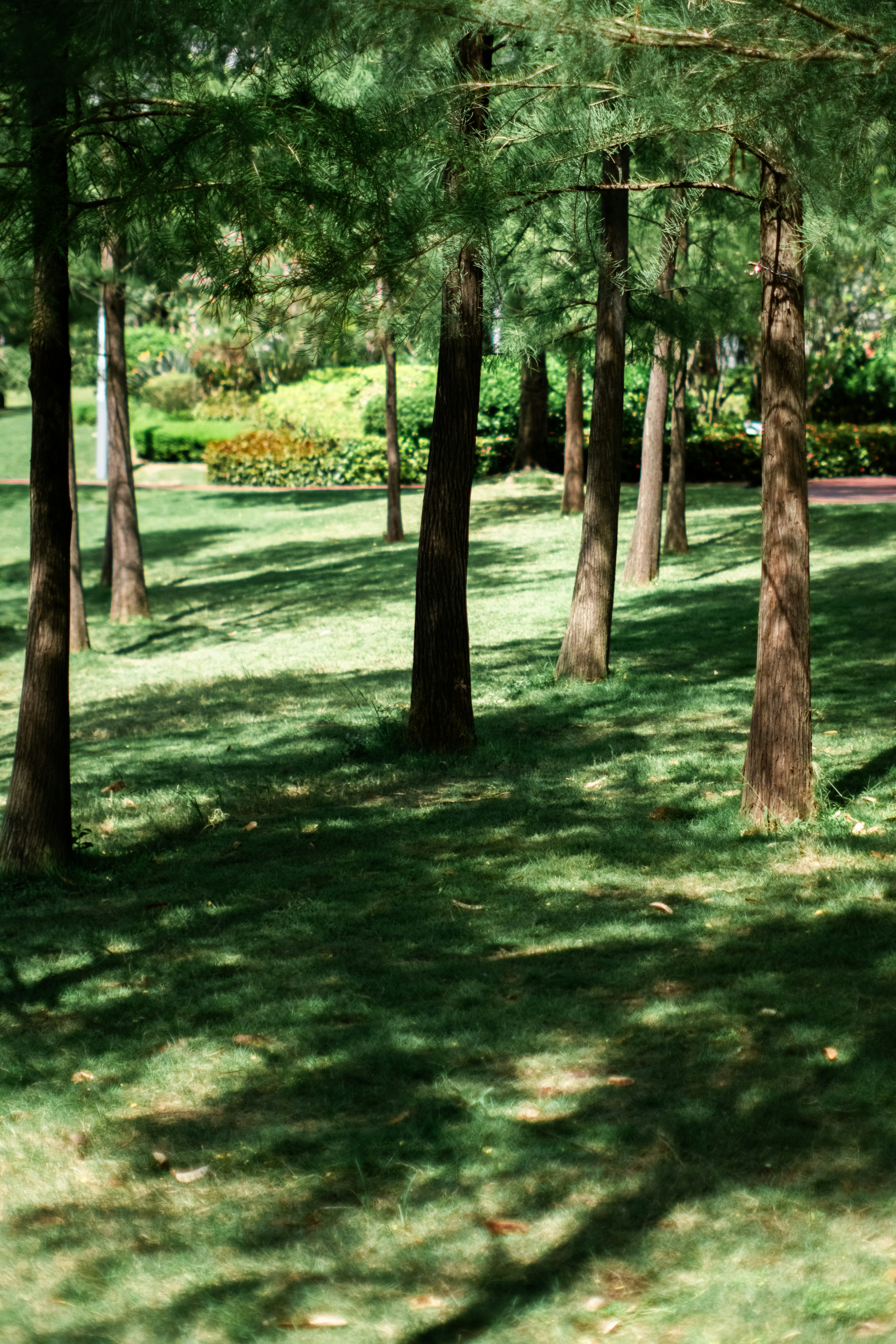 Photo by zhenyao_photo