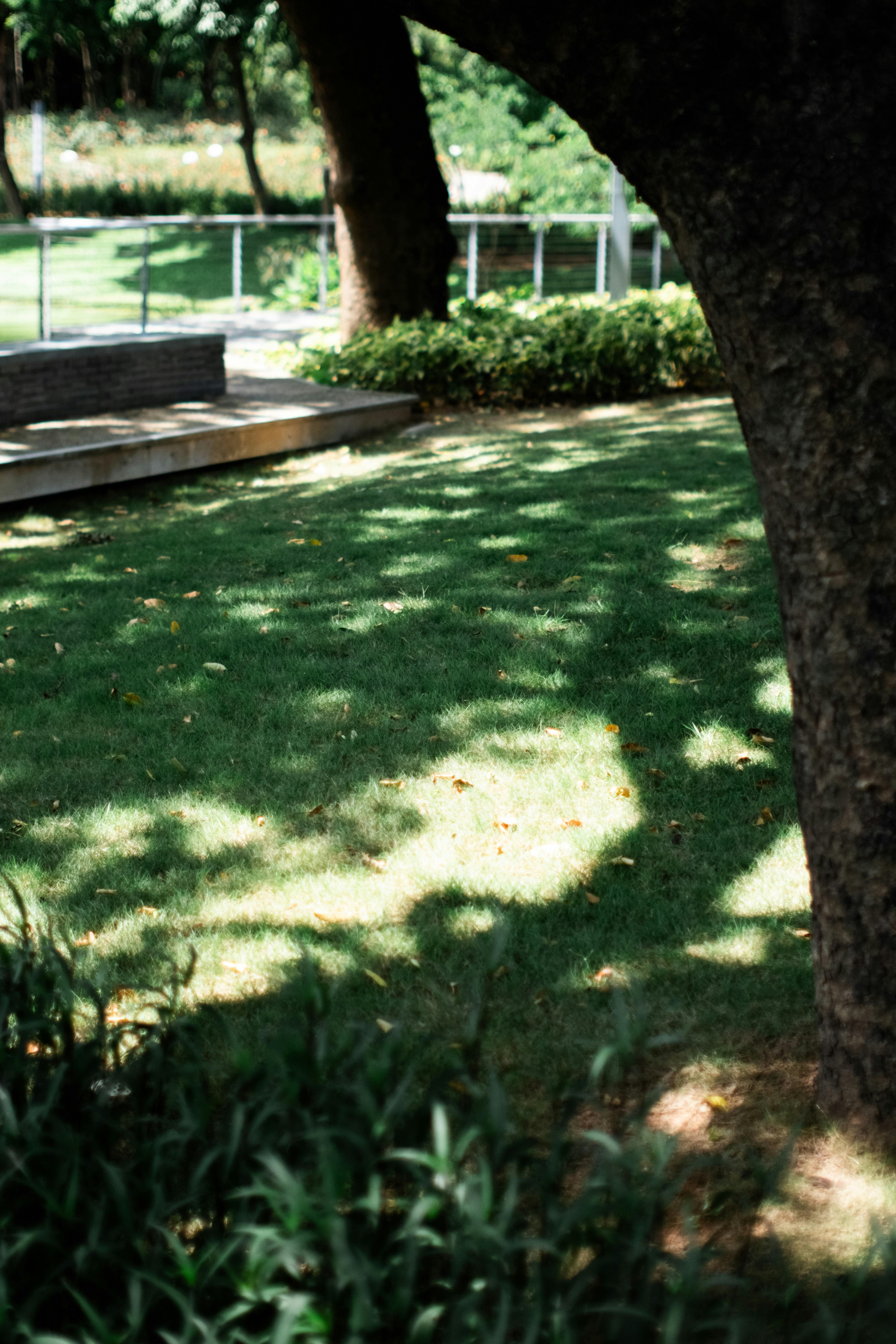 Photo by zhenyao_photo