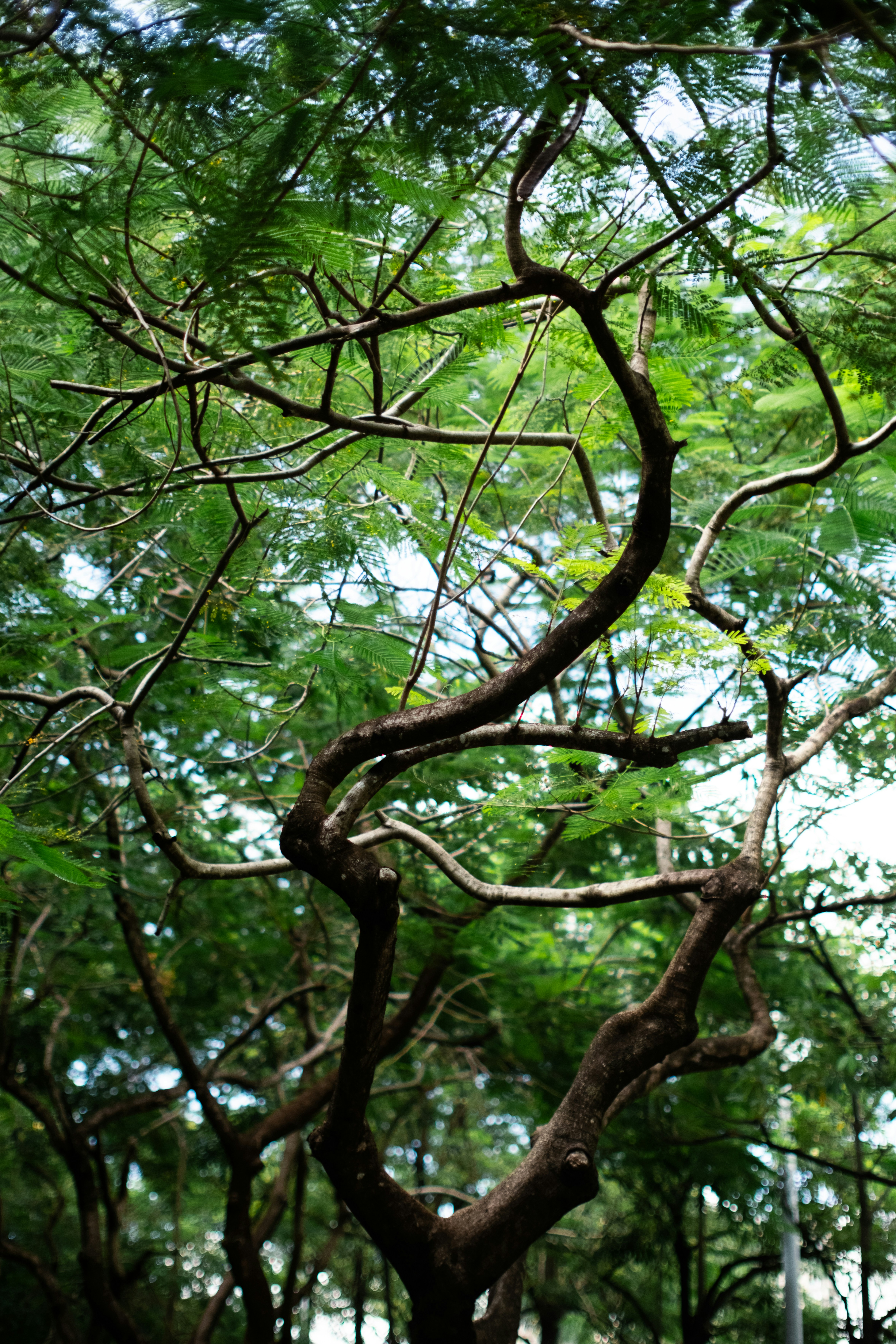 Photo by zhenyao_photo