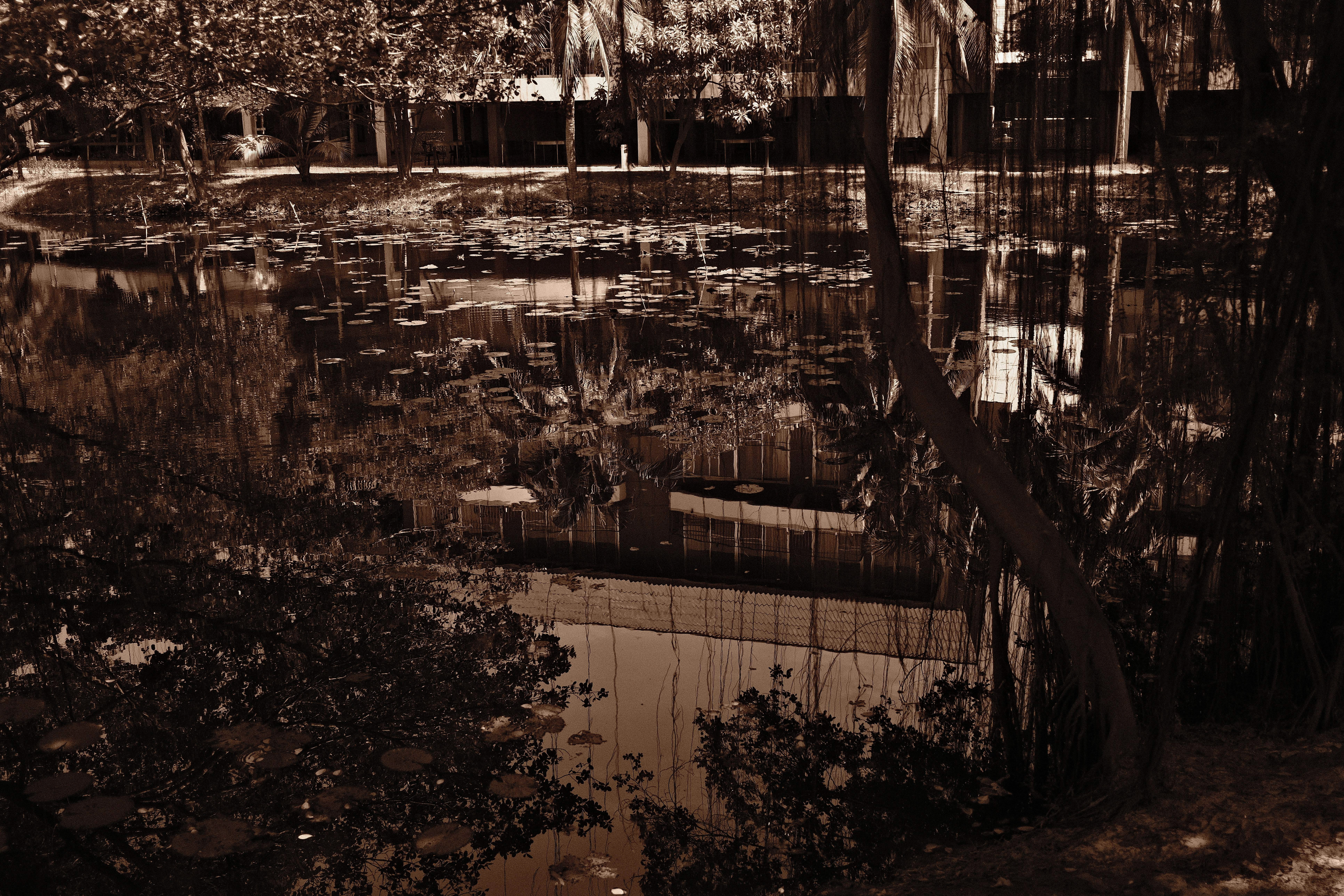 Photo by picturemeslut