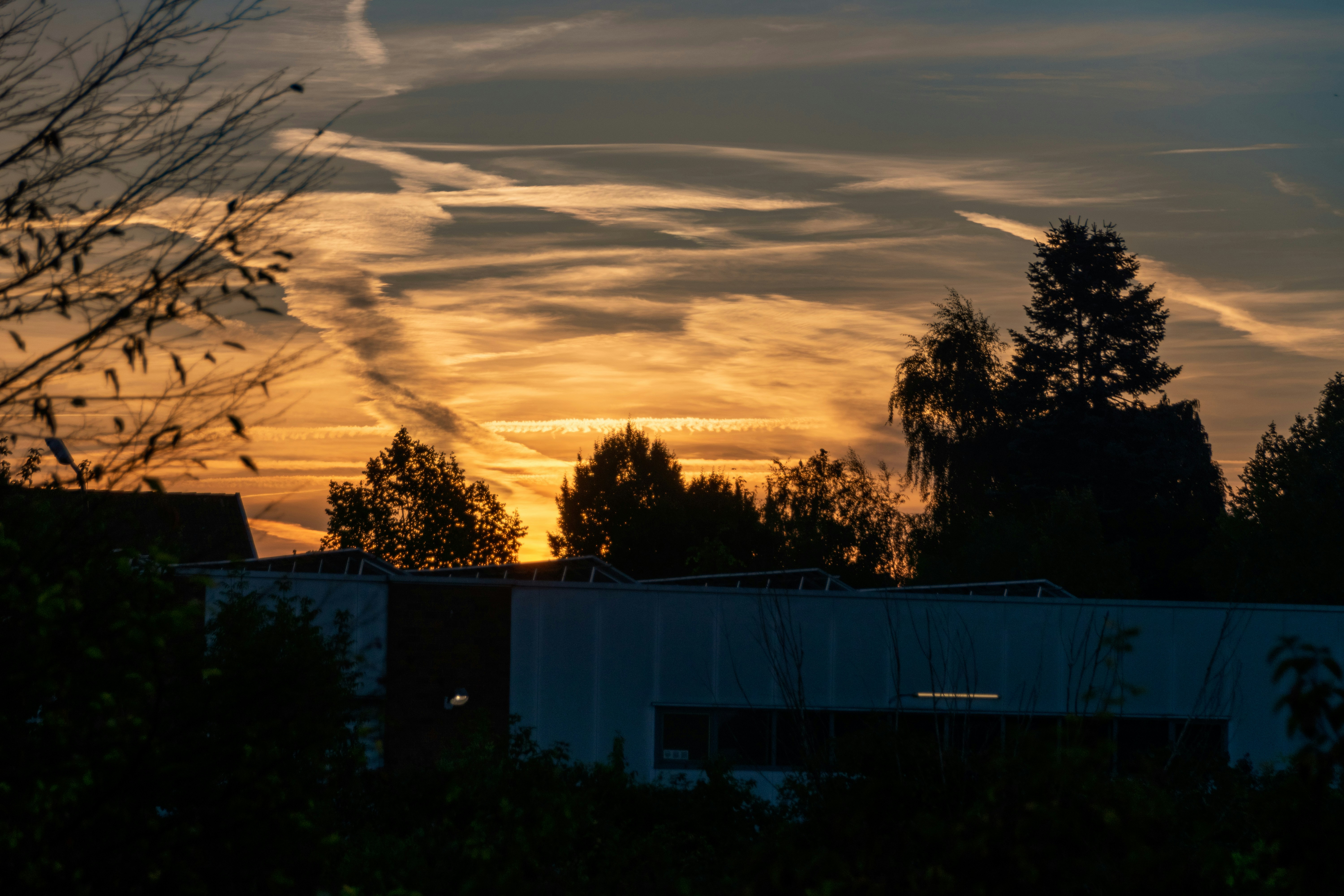 Photo by skstrannik