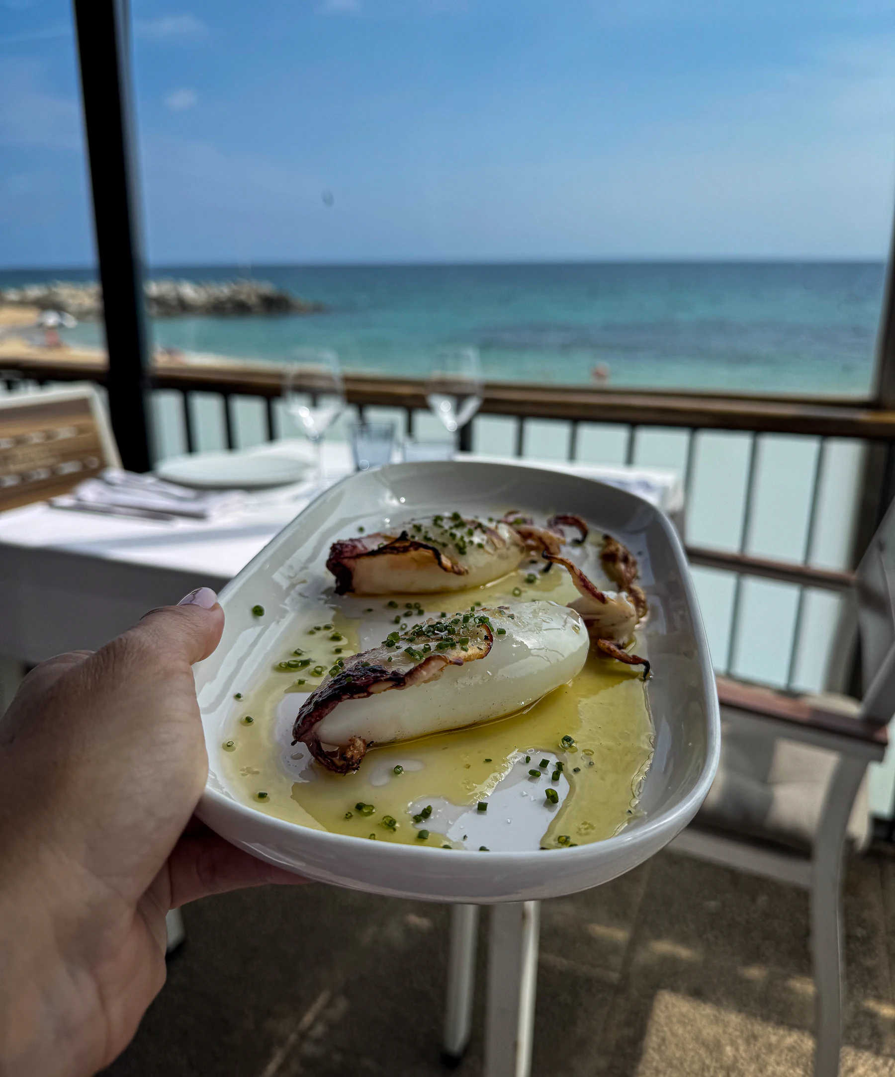 Grilled calamari with herbs and olive oil served by the sea