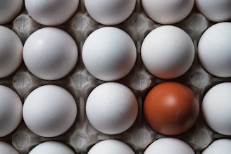 White eggs in carton with one brown egg.