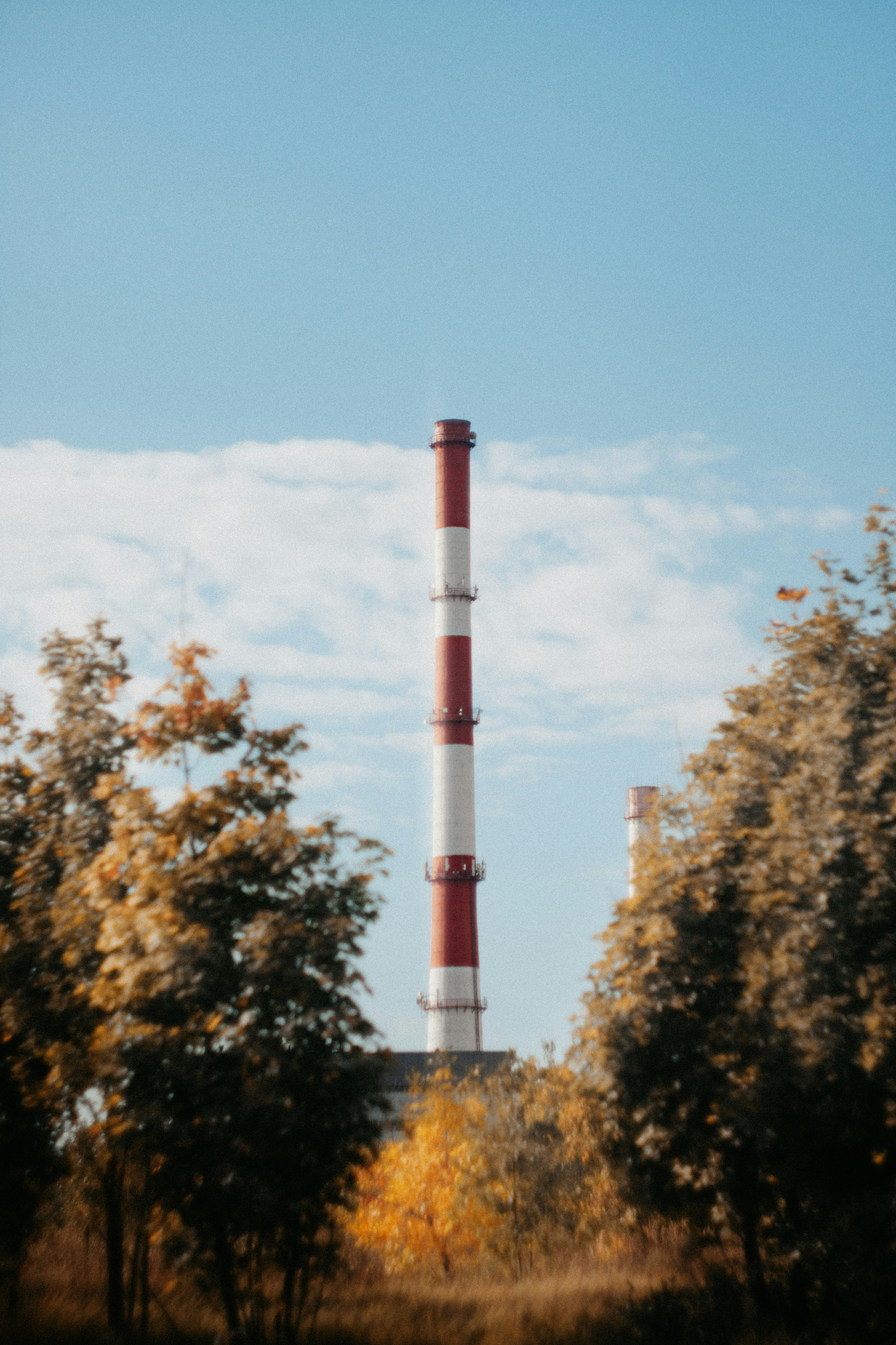 Photo by impermanent