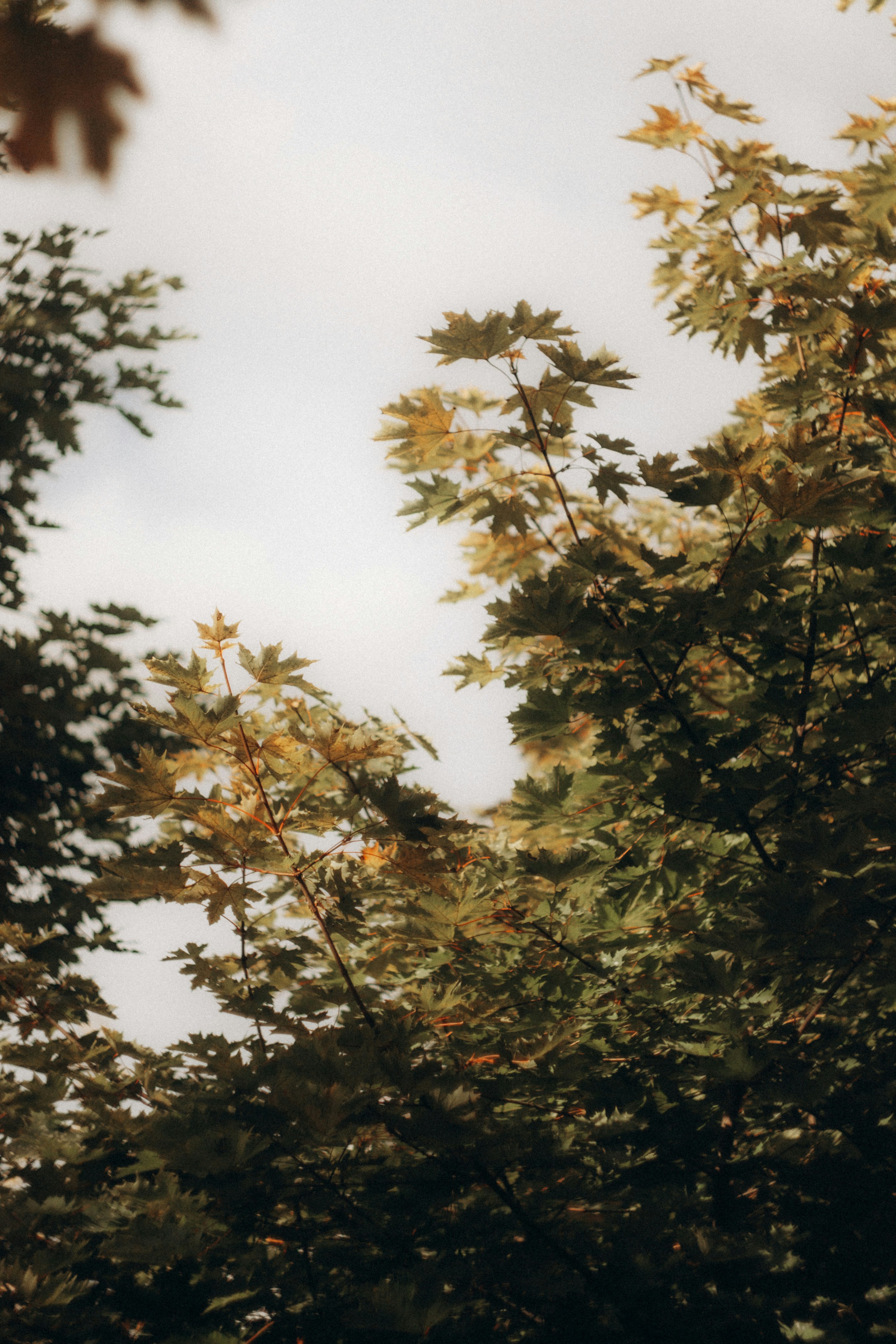 Photo by impermanent