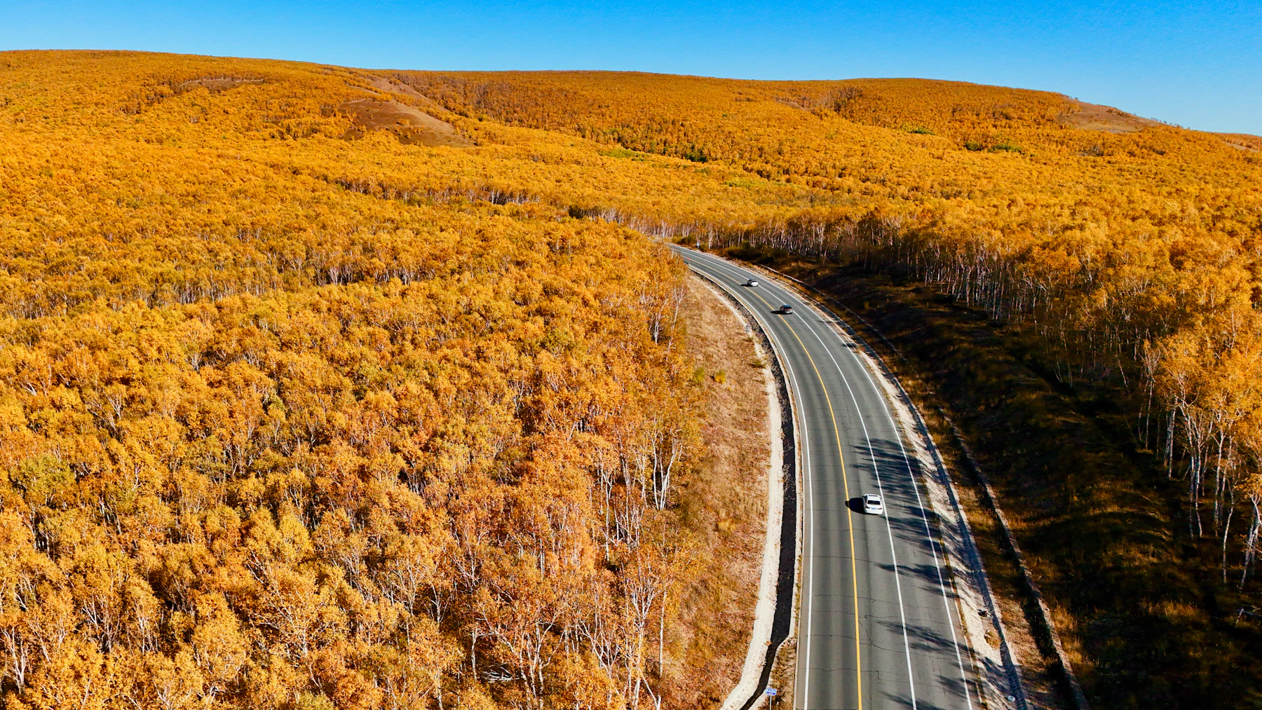 Curving mountain road through vibrant autumn forest under blue sky