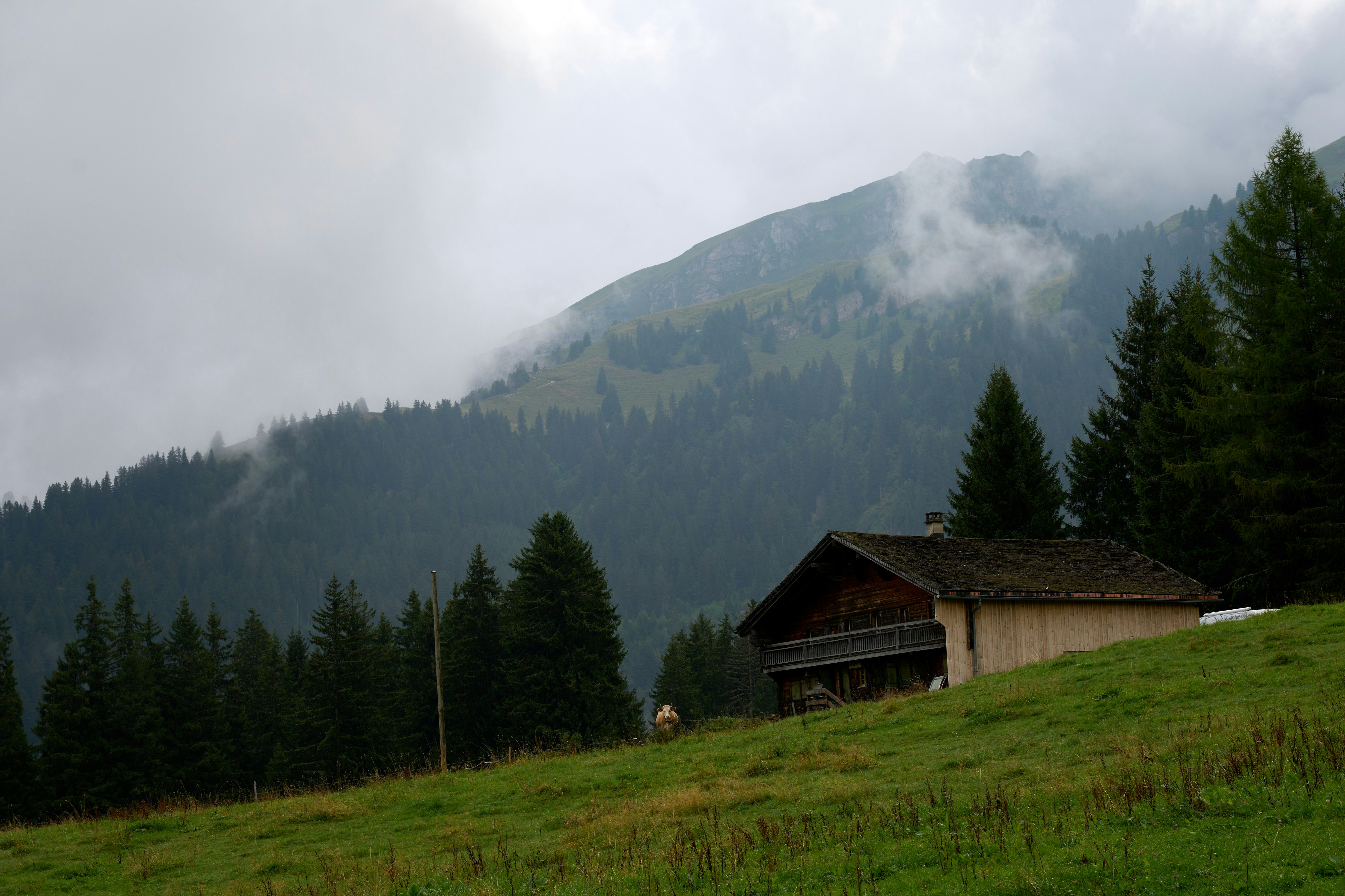 Photo by corentinschneiter