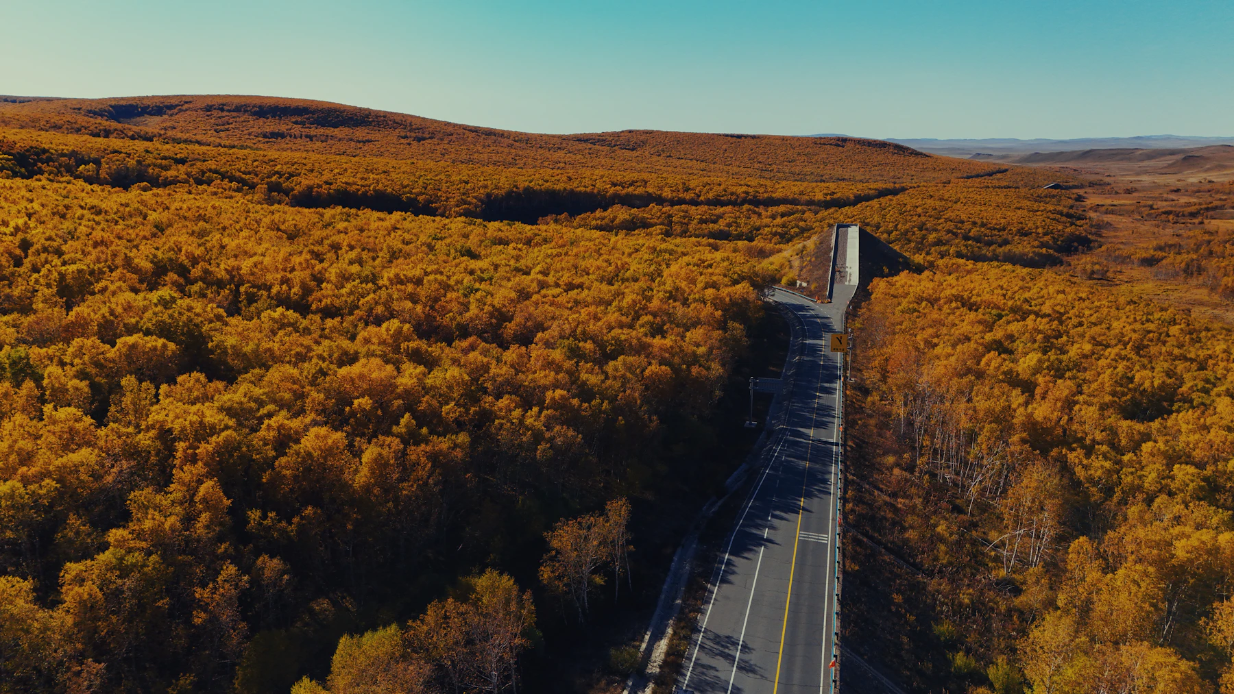 Winding road through golden autumn forest