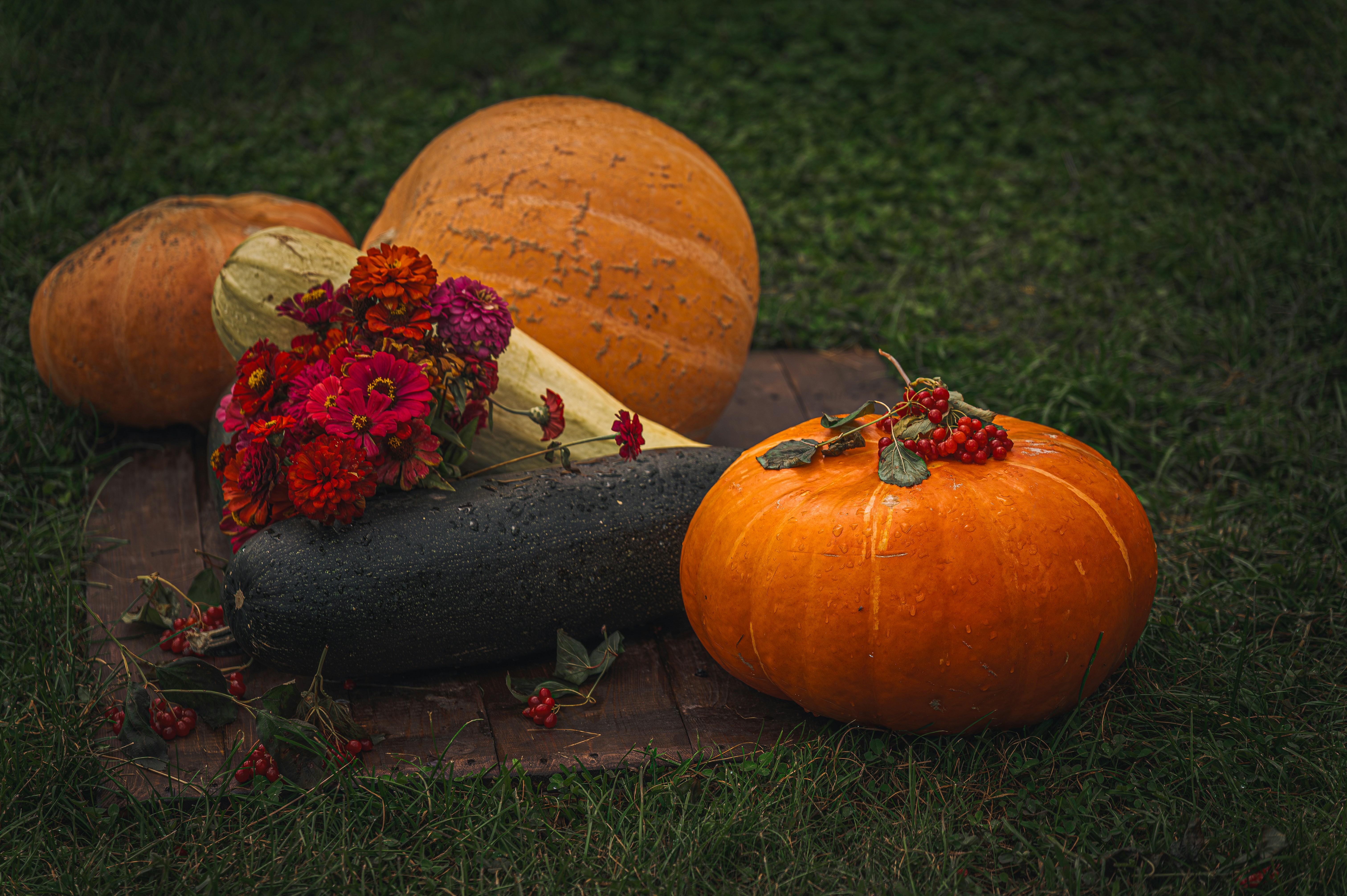 Healthy crops after using our products