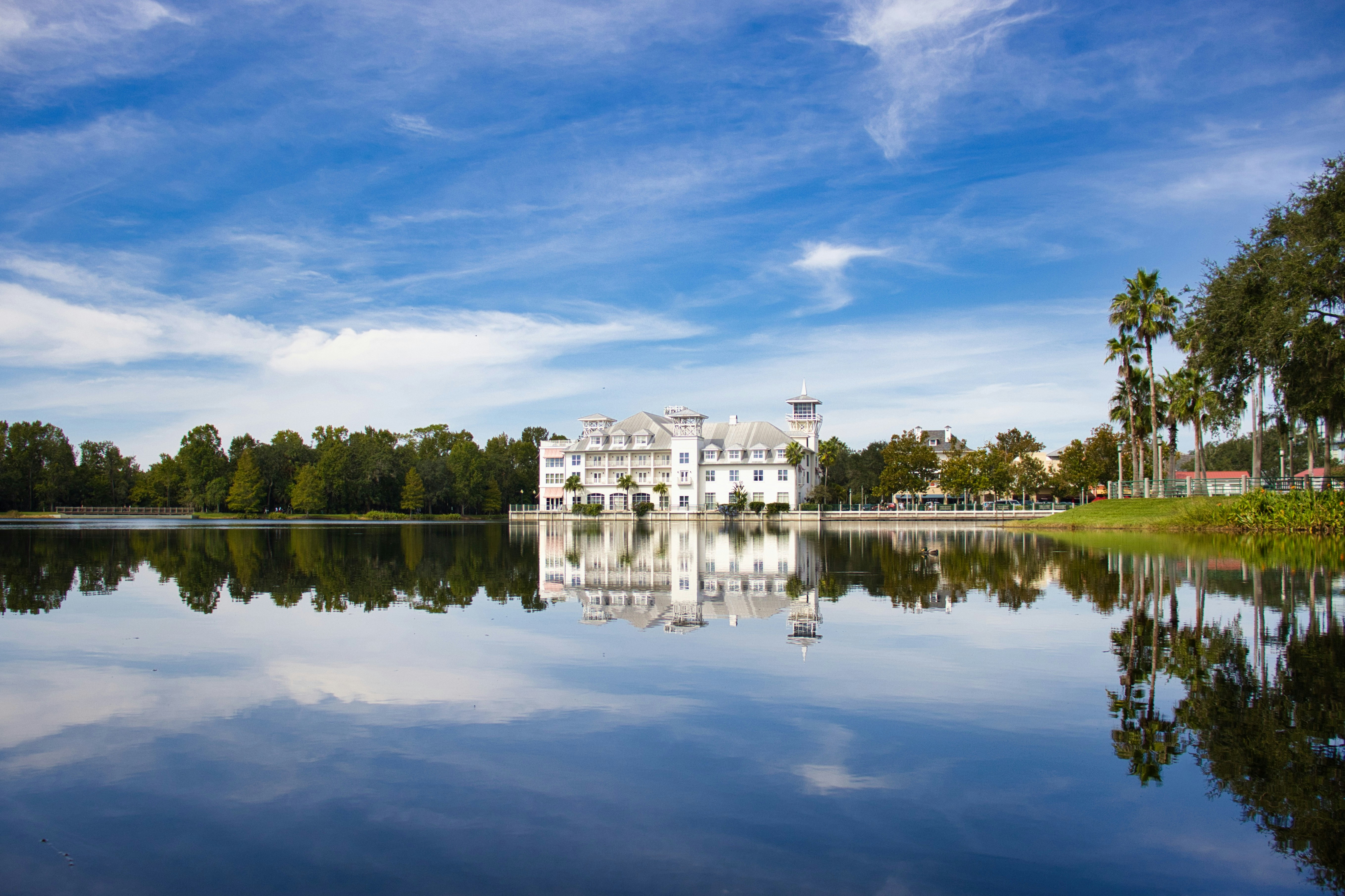 Photo by paws_and_prints