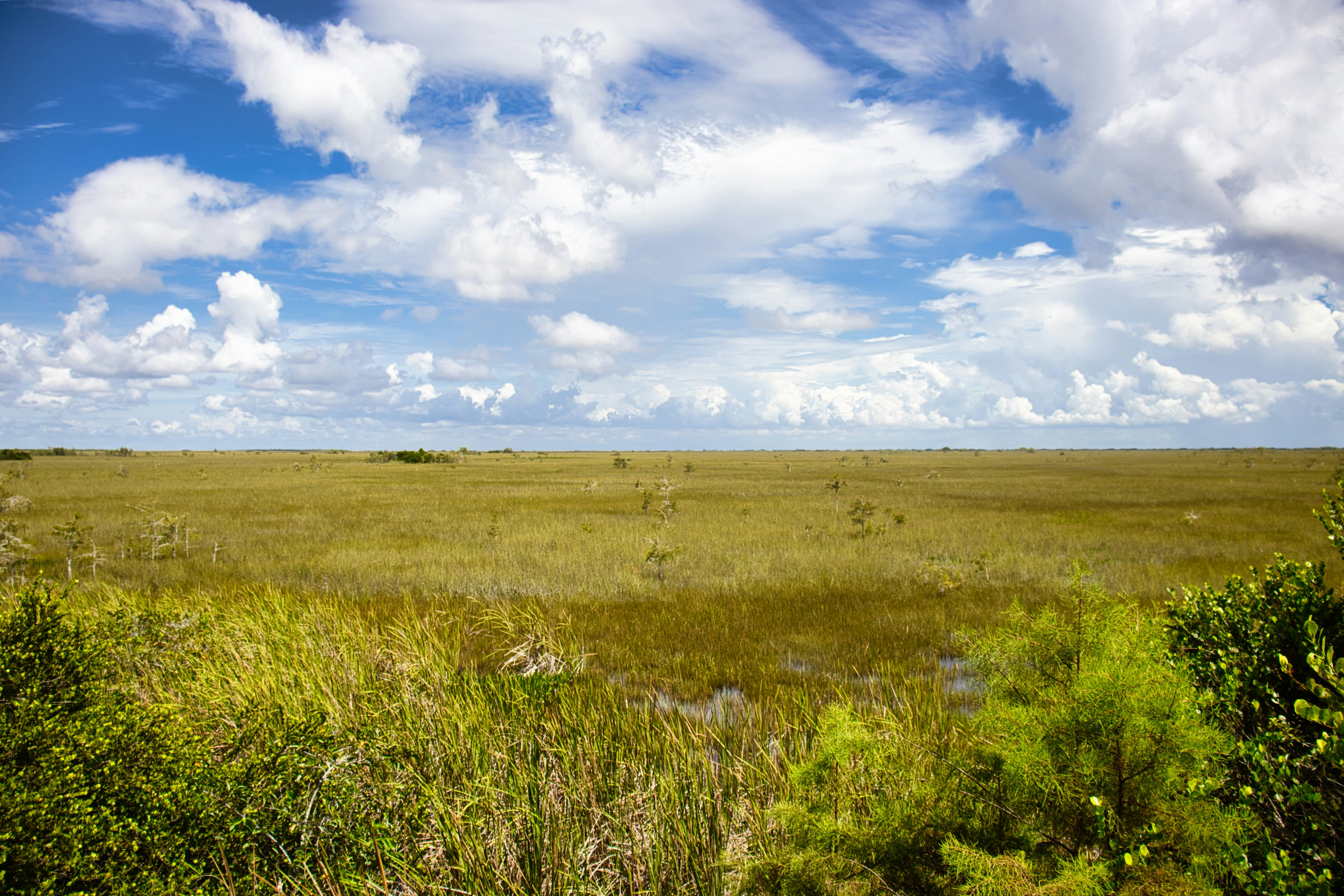 Vast grassy plain under a cloudy blue sky