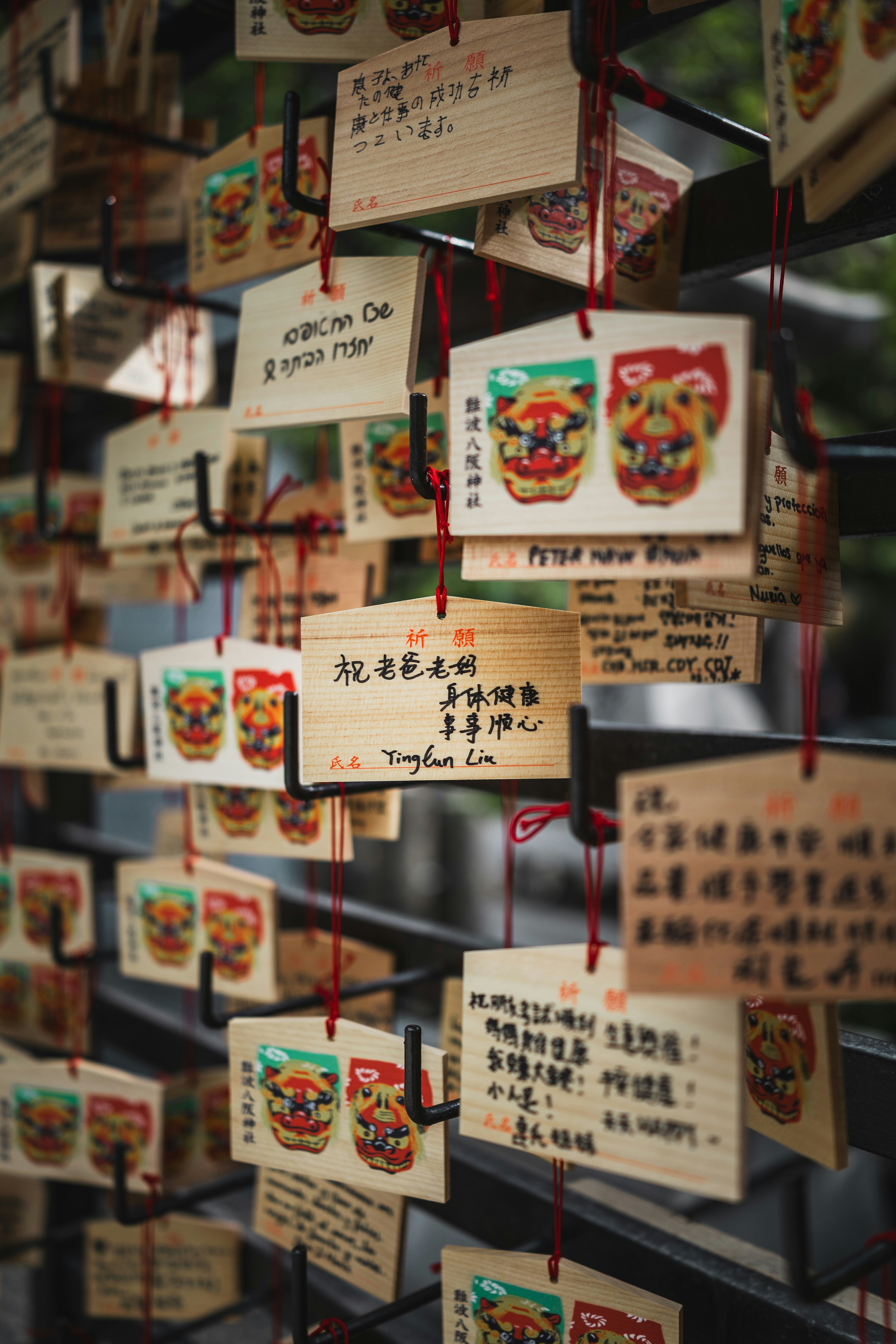 Photo by wenhao_ruan