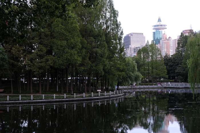 Lac de parc avec reflets d'arbres — plan d'eau finalisé inauguration