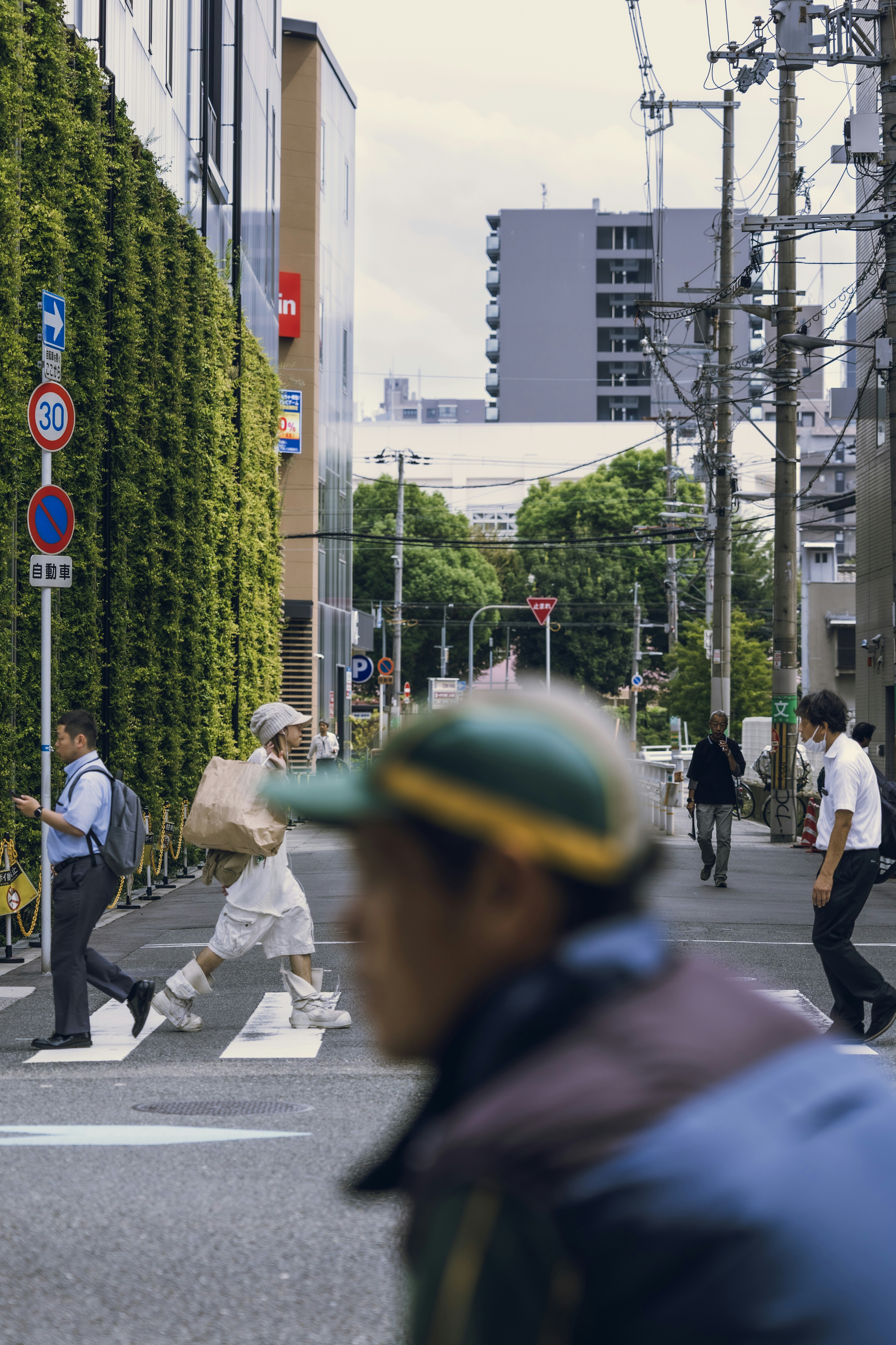 Photo by wenhao_ruan