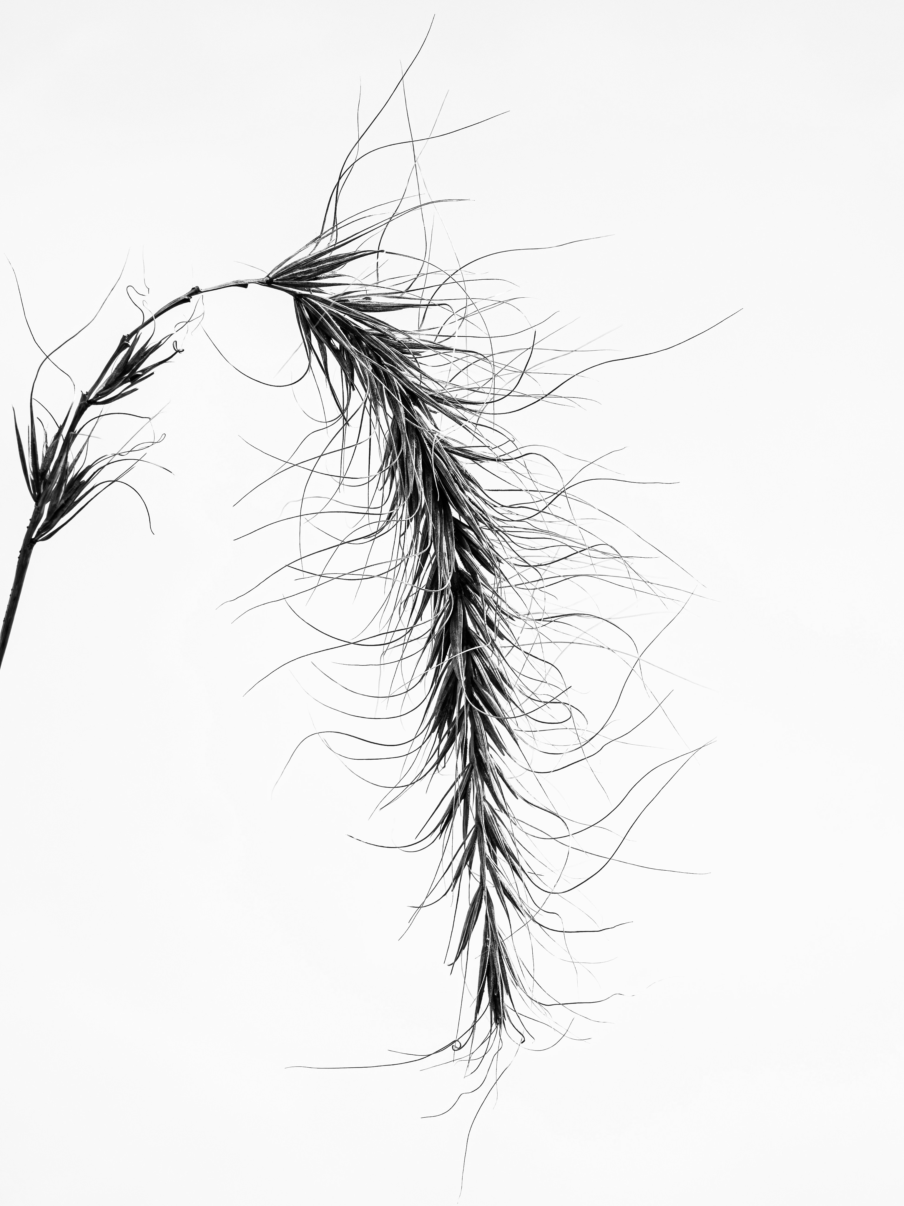 Photo by sschusterphotoart