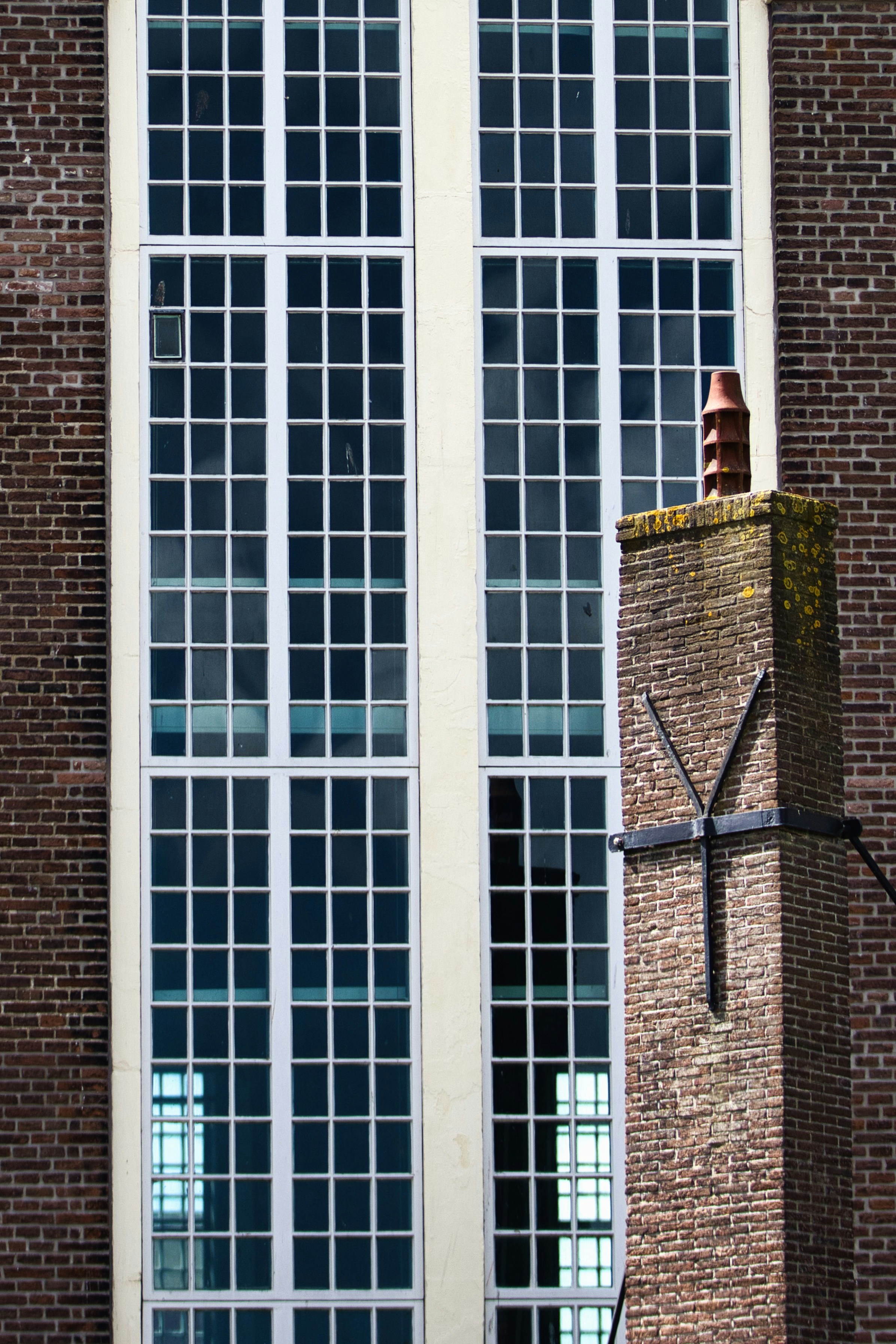 Photo by paws_and_prints