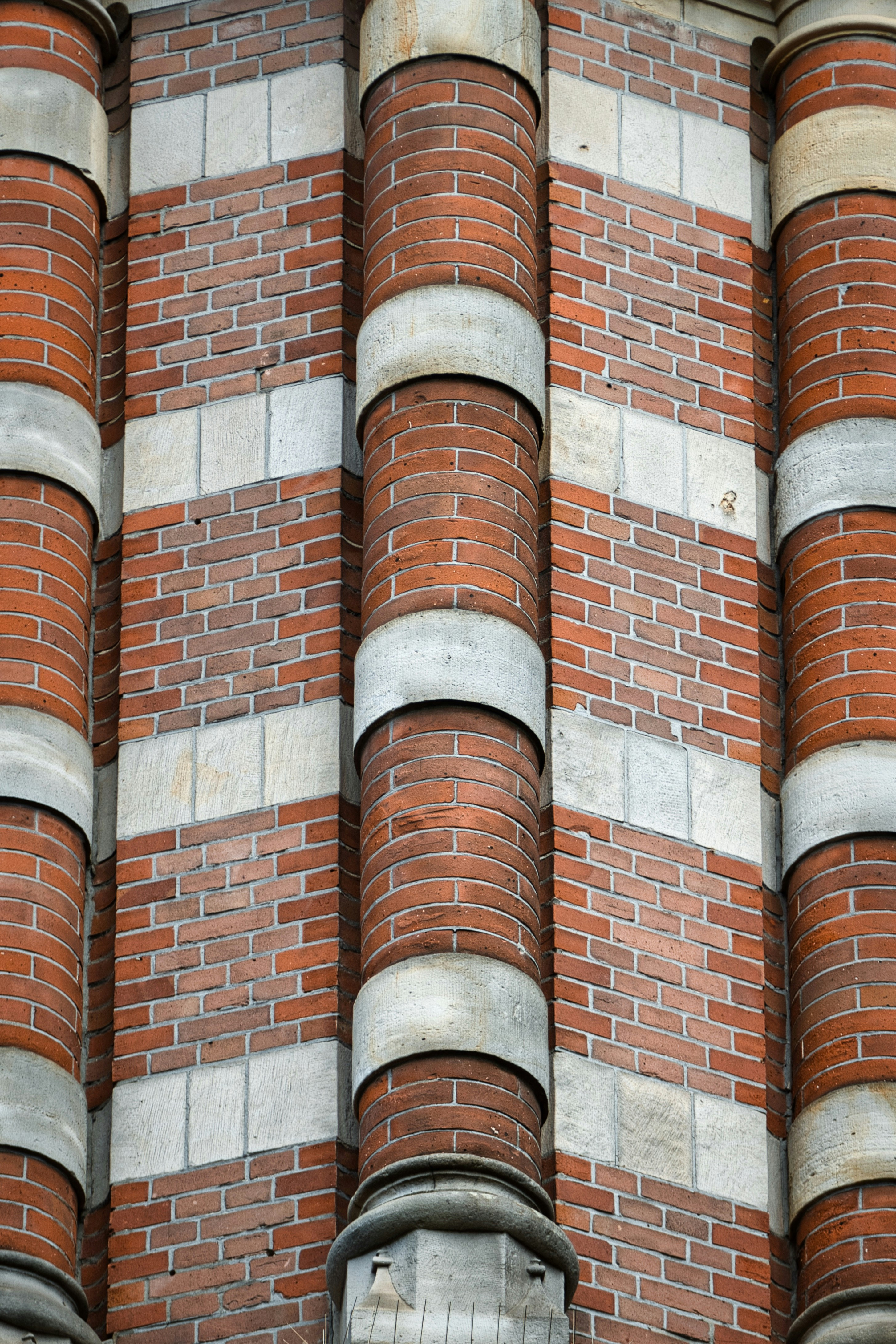 Photo by paws_and_prints