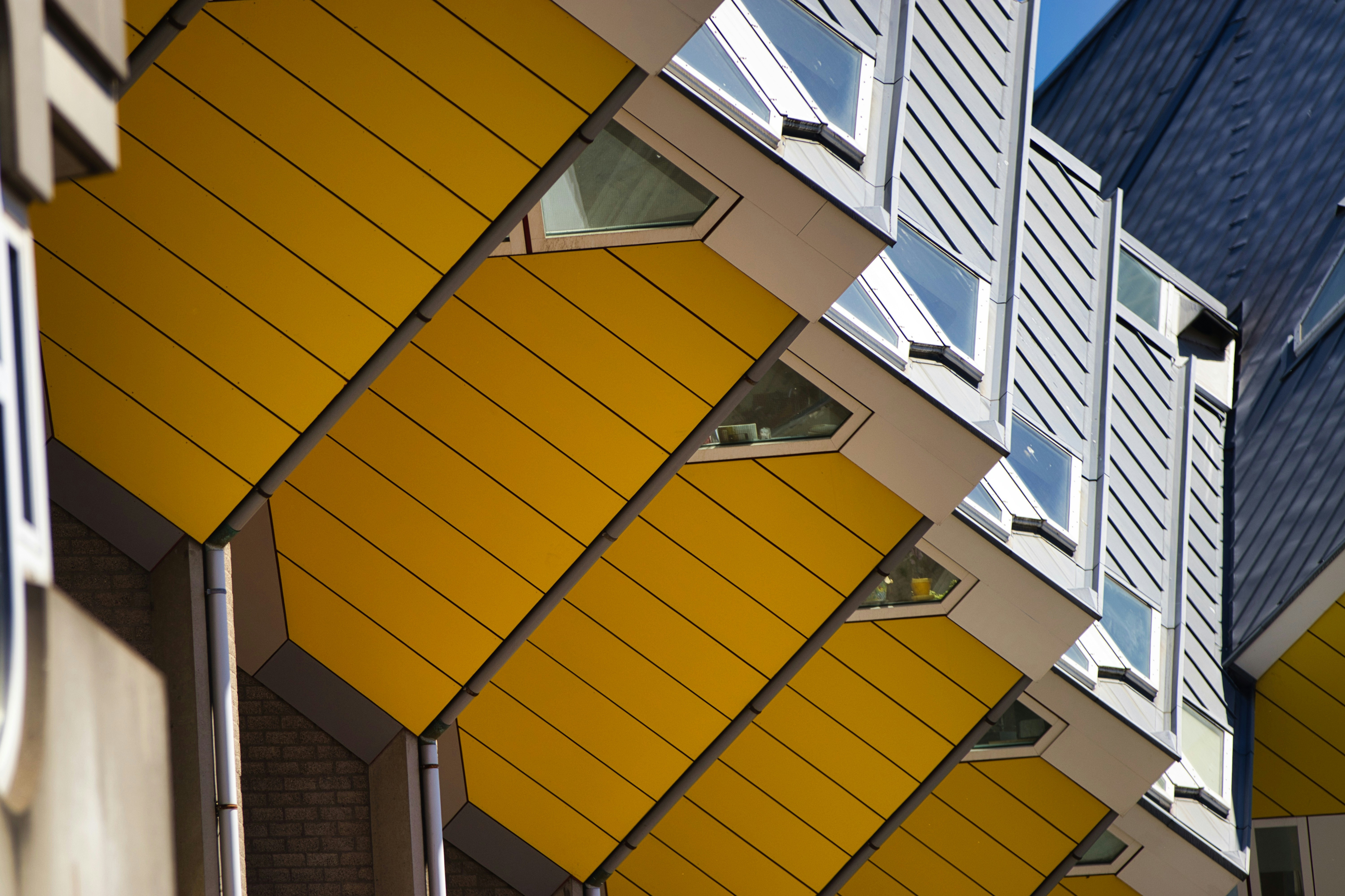 Photo by paws_and_prints