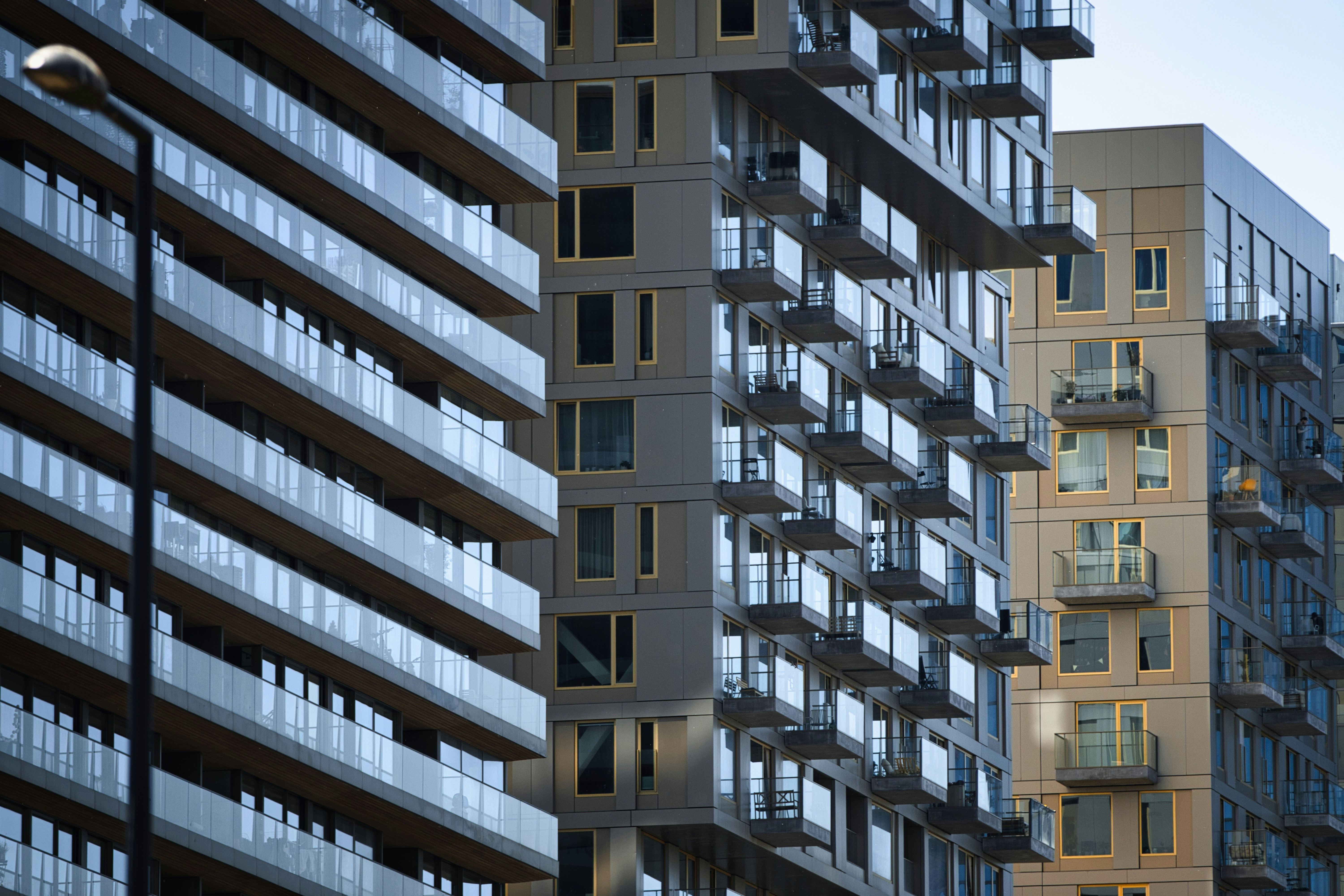 Photo by paws_and_prints