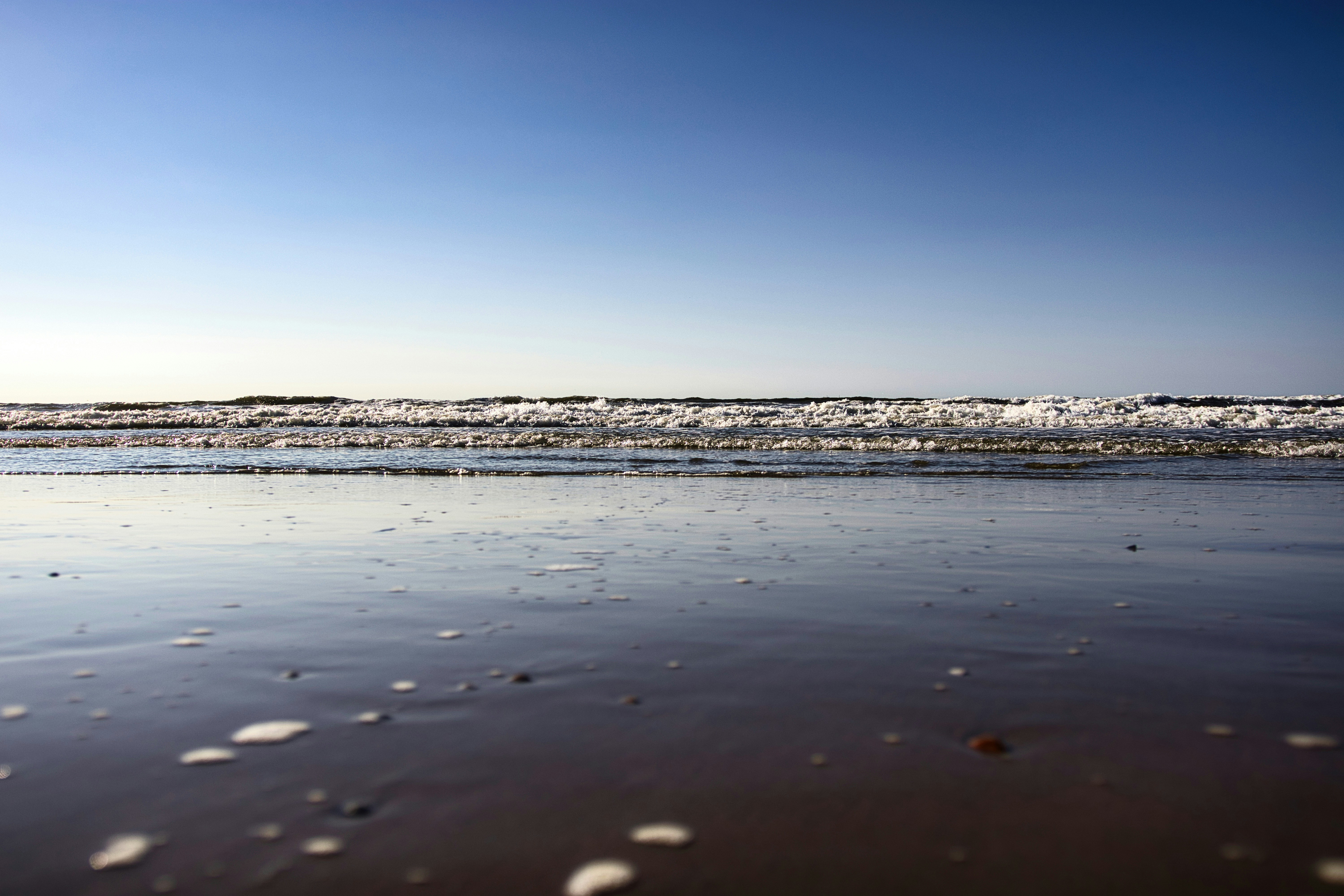 Photo by paws_and_prints