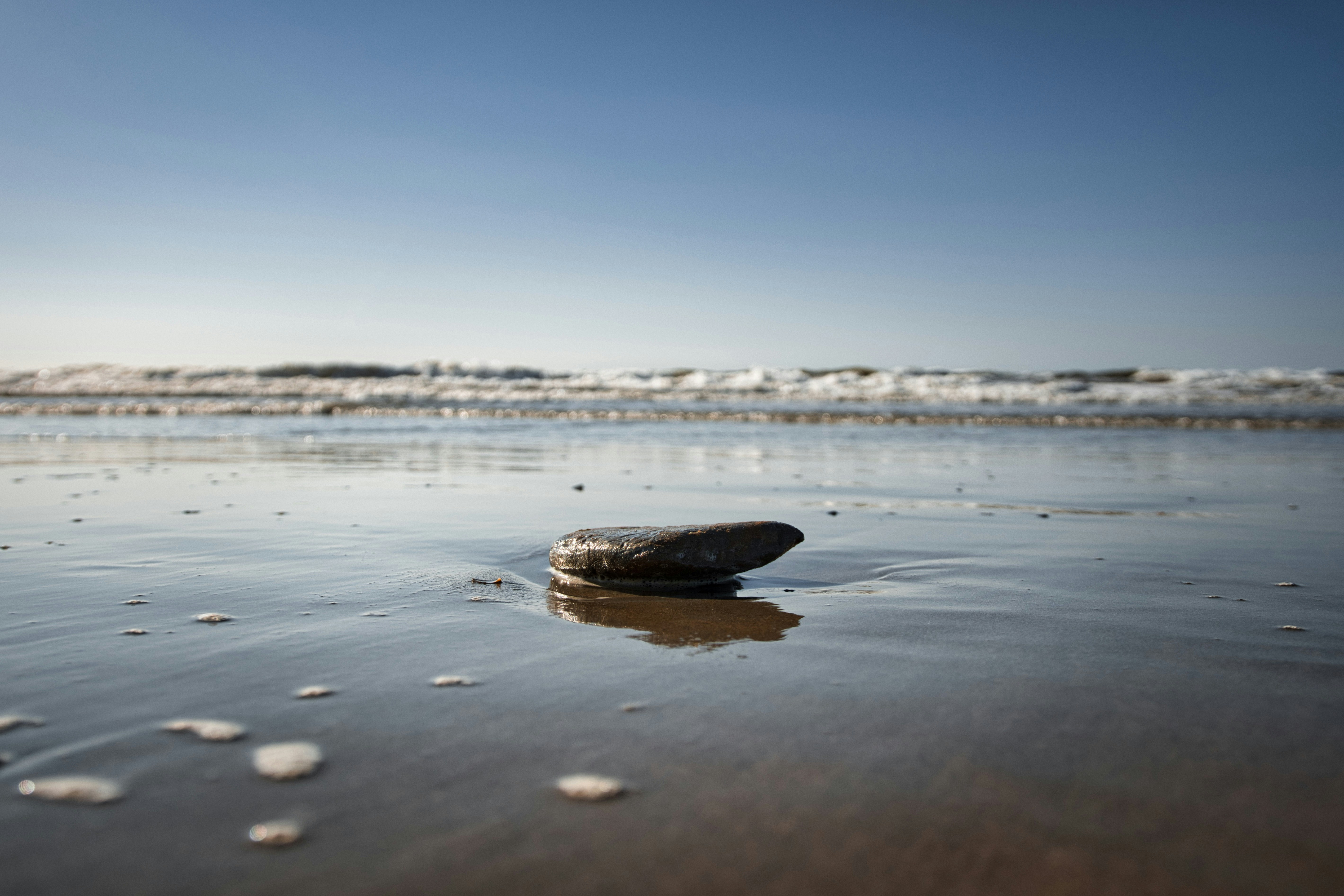 Photo by paws_and_prints