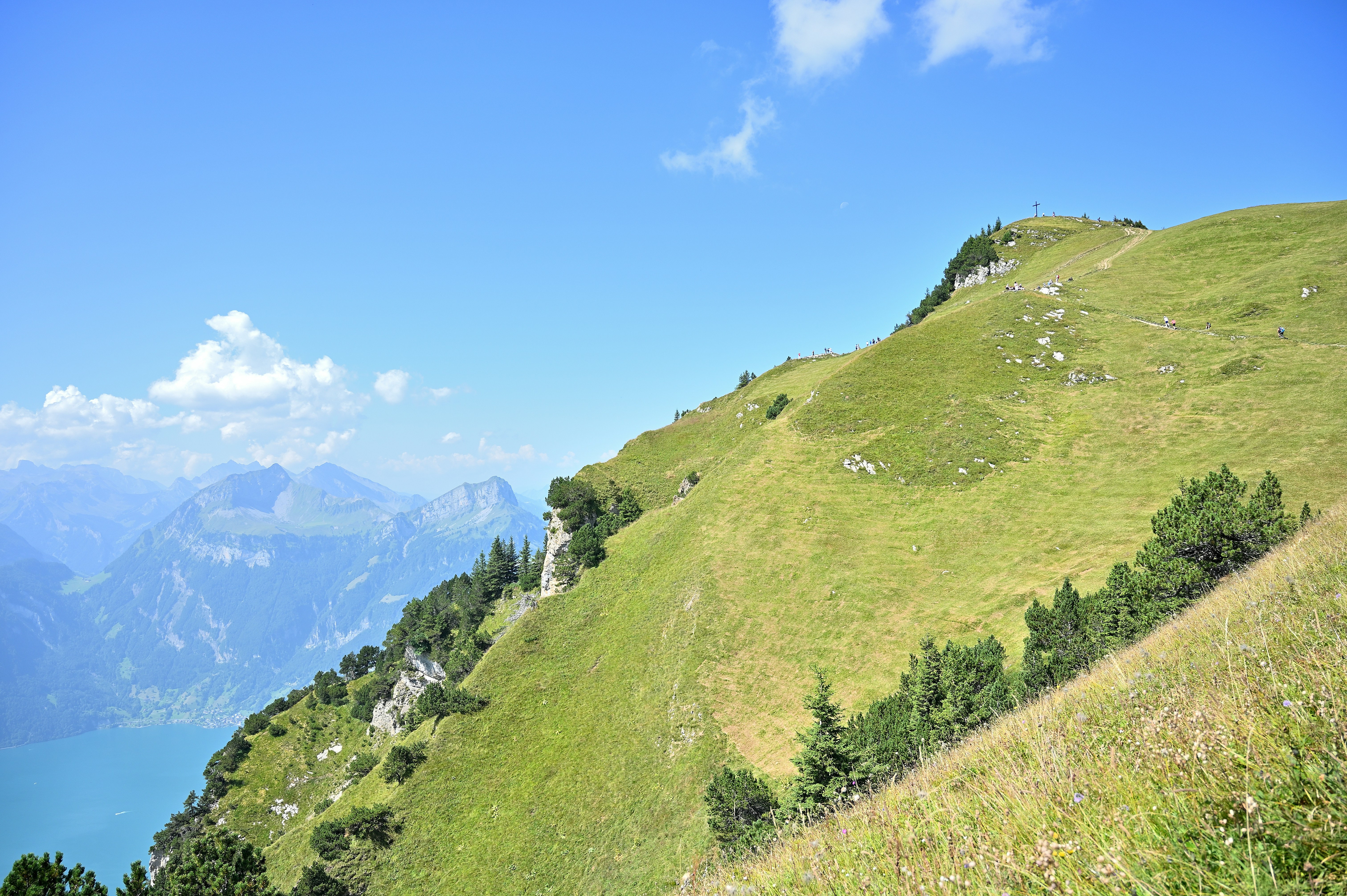 Verde pendio erboso di montagna che si affaccia su un lago blu