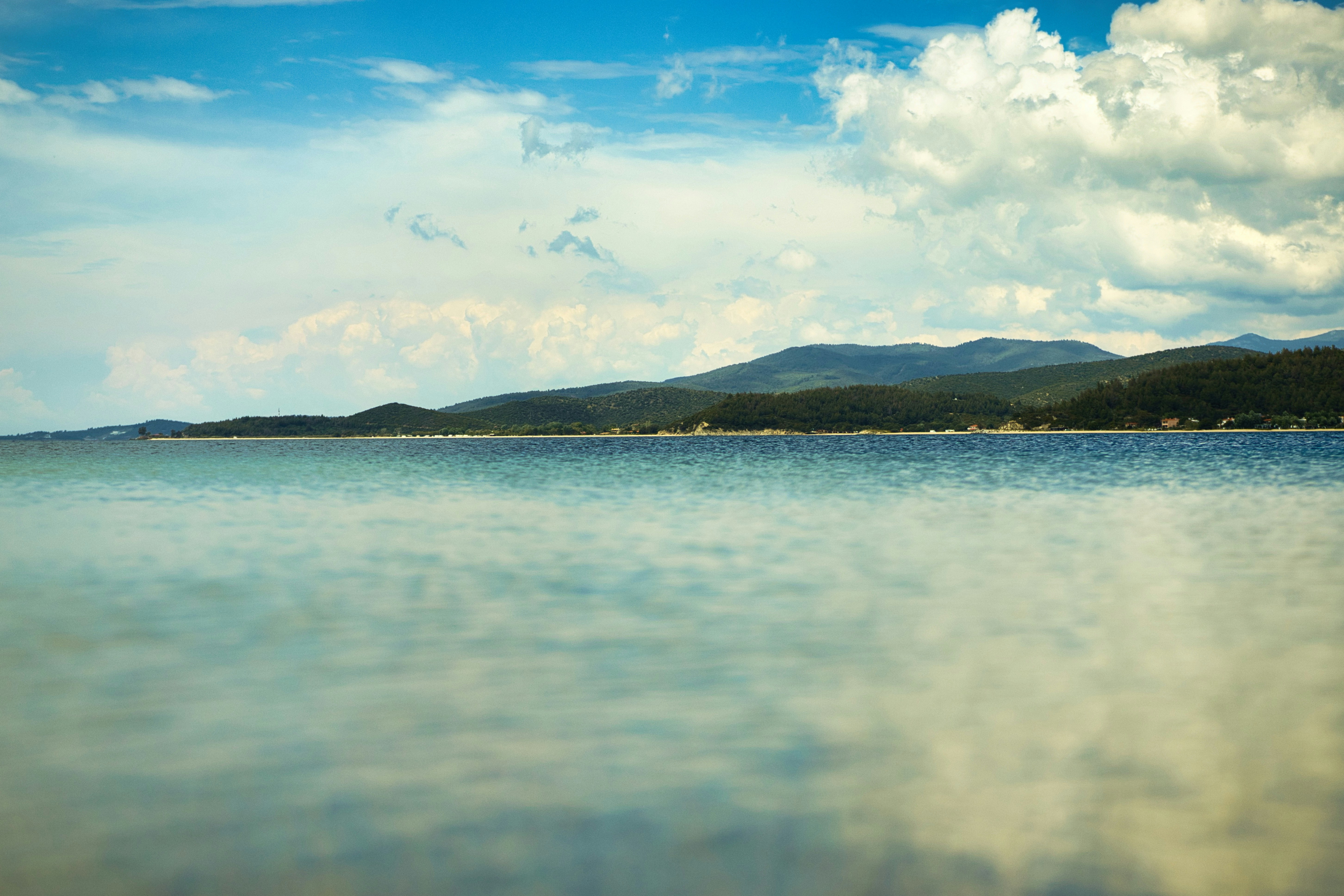 Photo by paws_and_prints