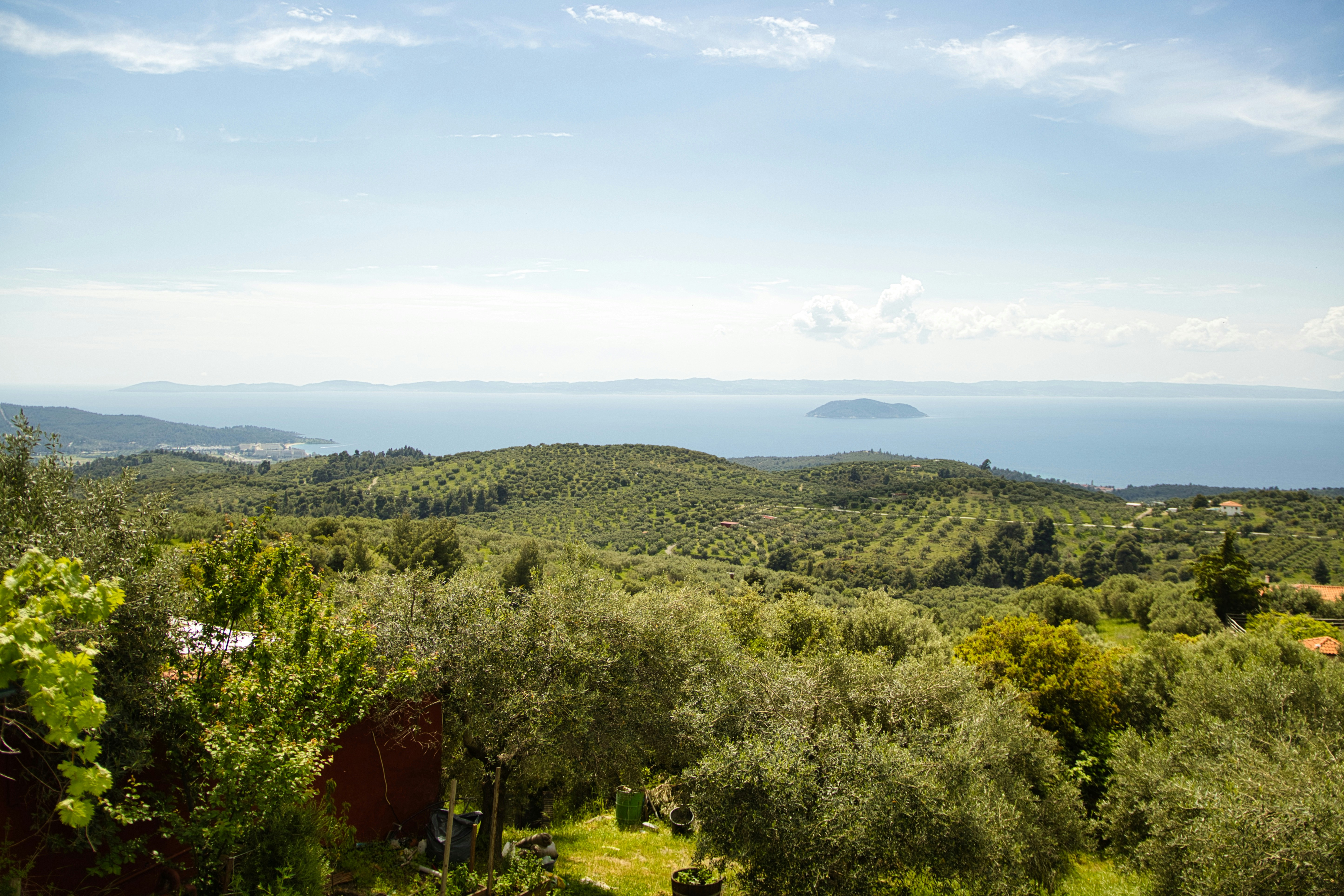 Photo by paws_and_prints